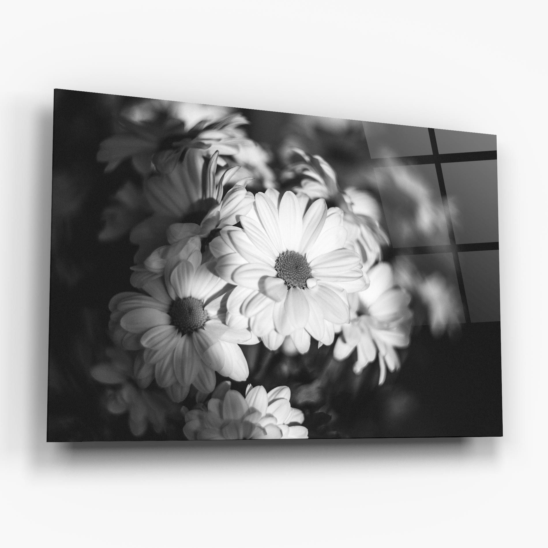 Grey Daisy mockup 6
