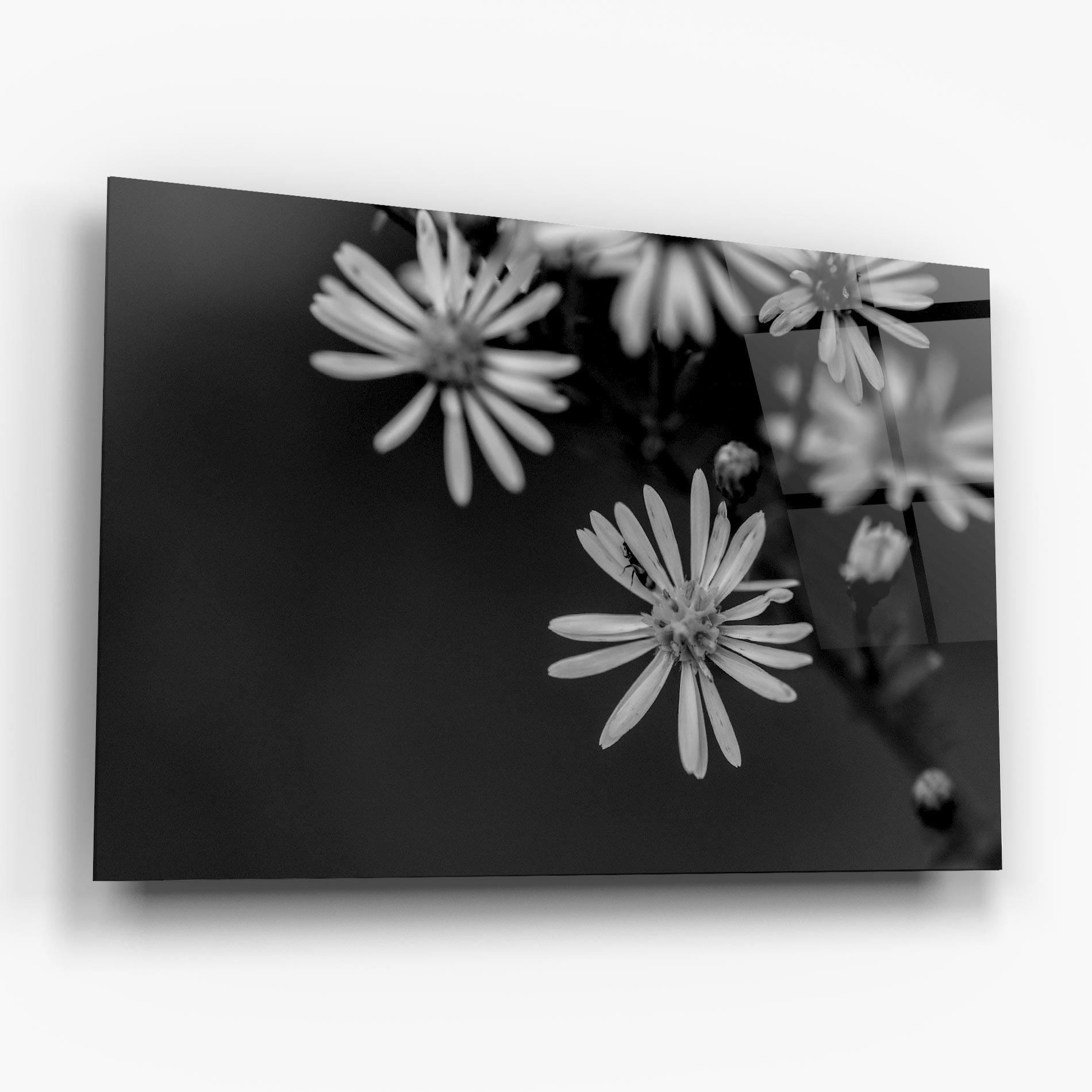 Tablou Sticla Grey Small Daisy mockup 6