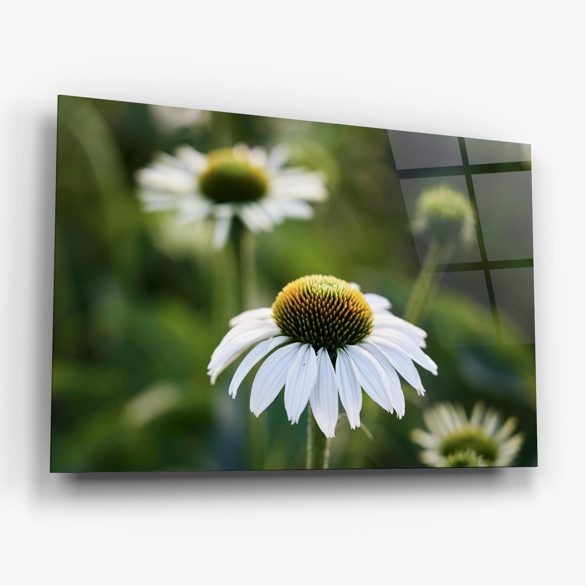 Tablou Sticla Small Green Daisy mockup 6