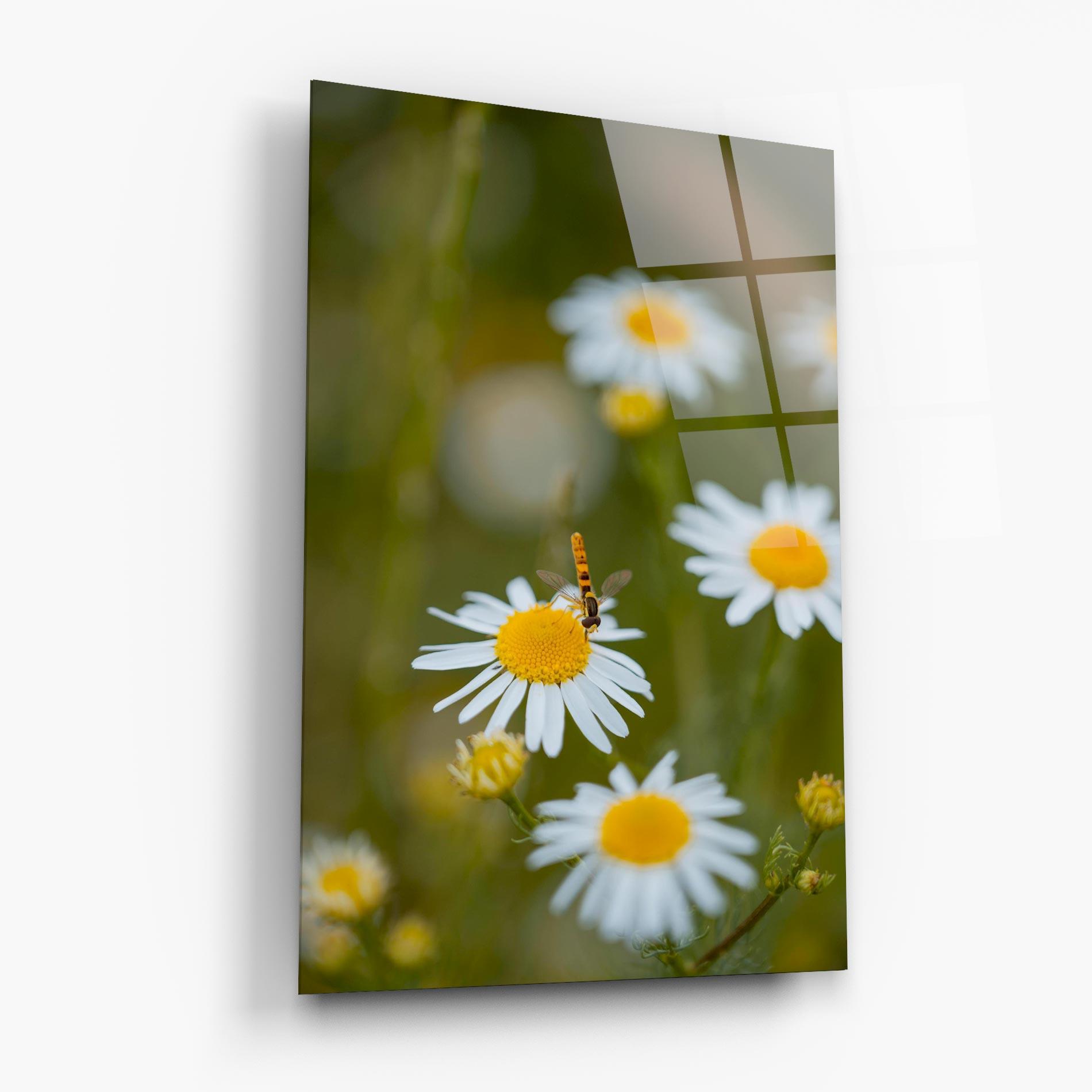 Tablou Sticla Bug On Small Daisy mockup 6