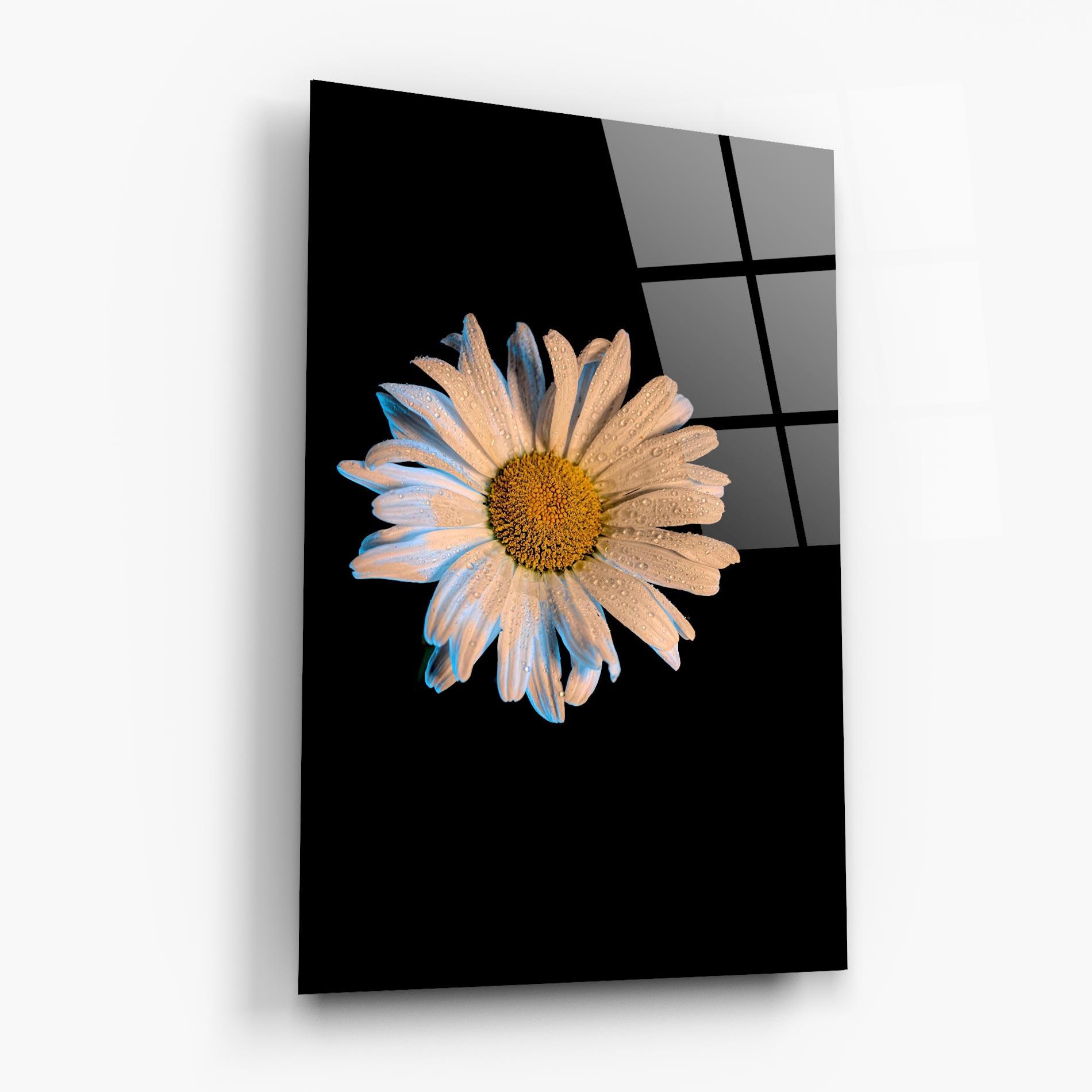Tablou Sticla Daisy mockup 6