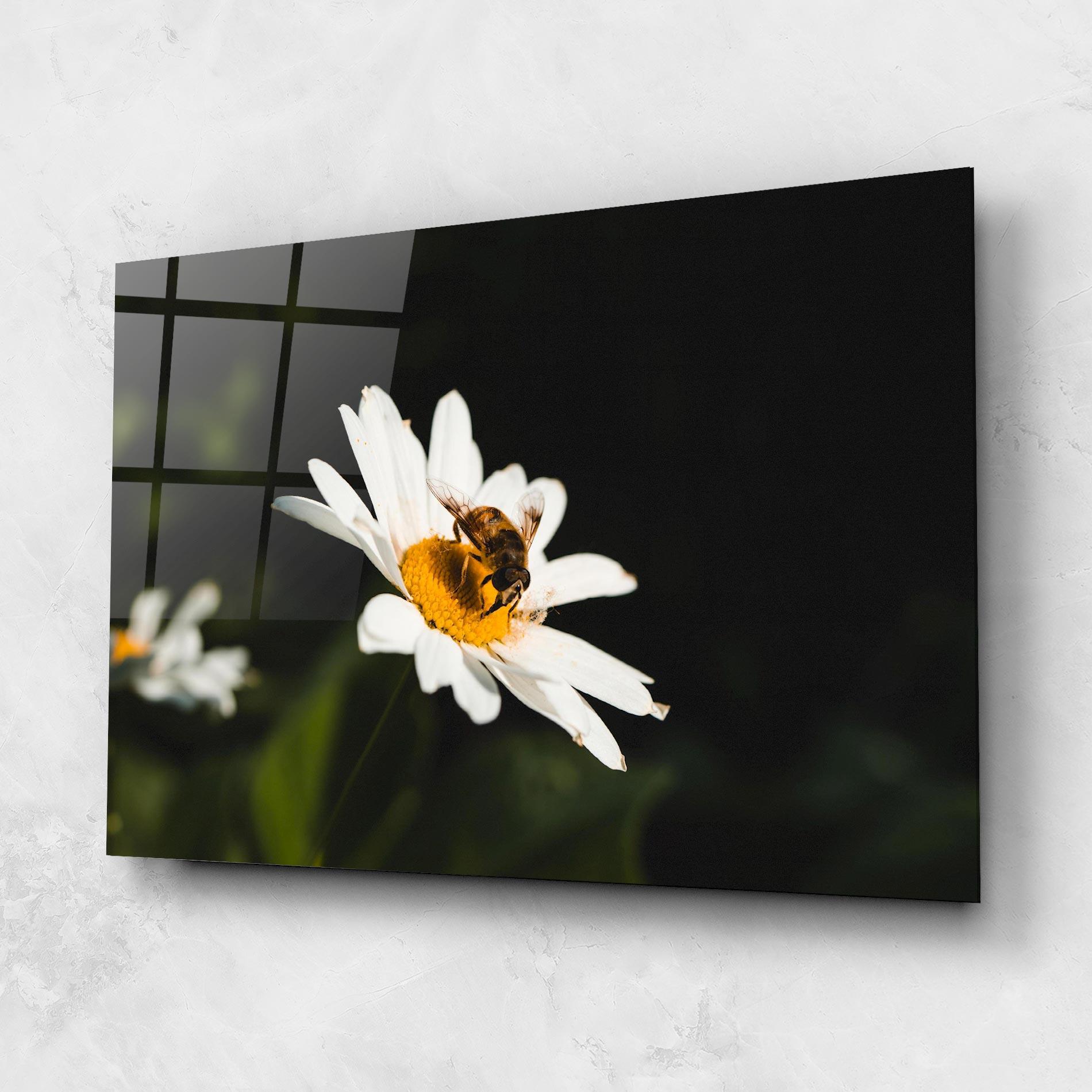 Tablou Sticla Bee Flying On Daisy mockup 1