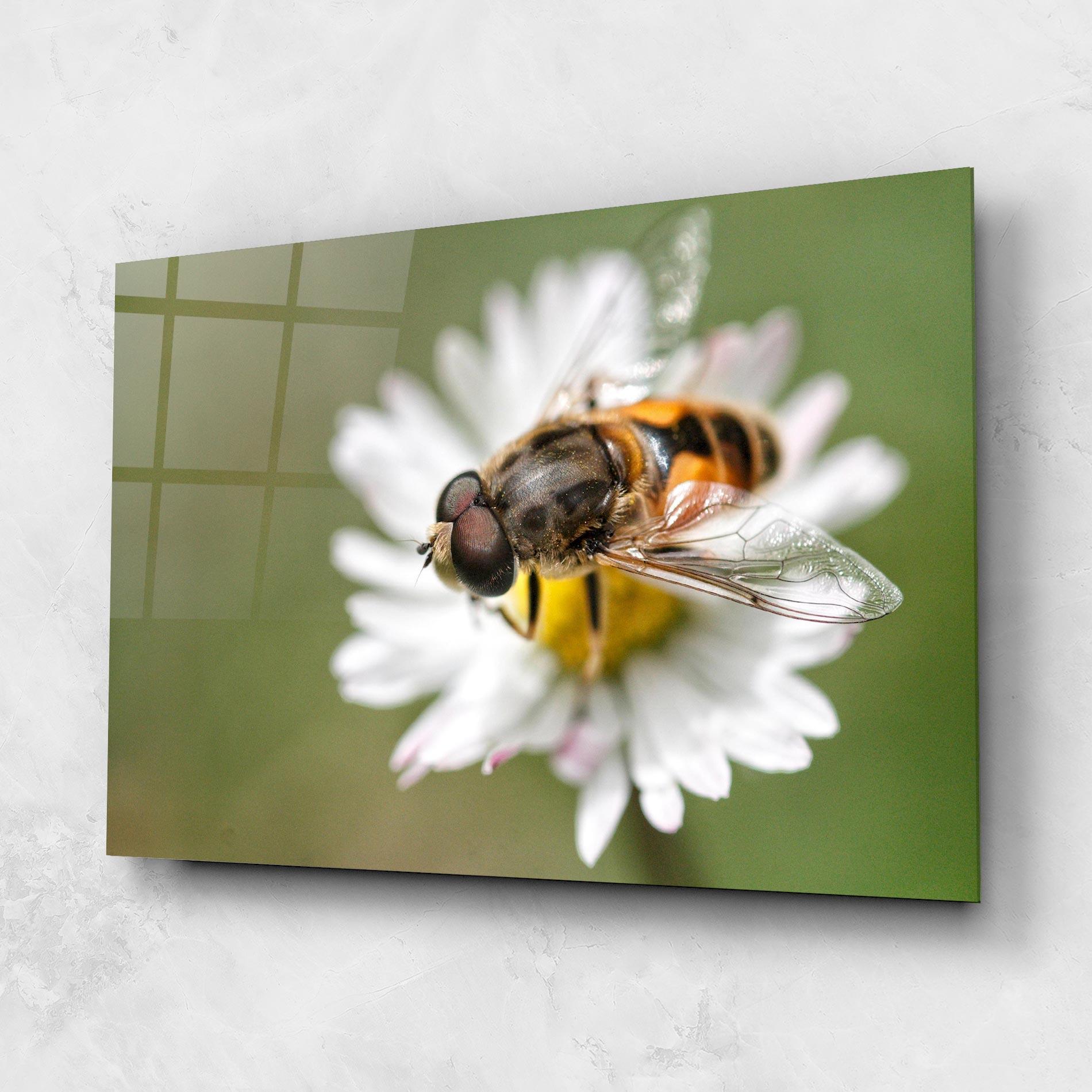 Tablou Sticla Bee On Small Daisy mockup 1