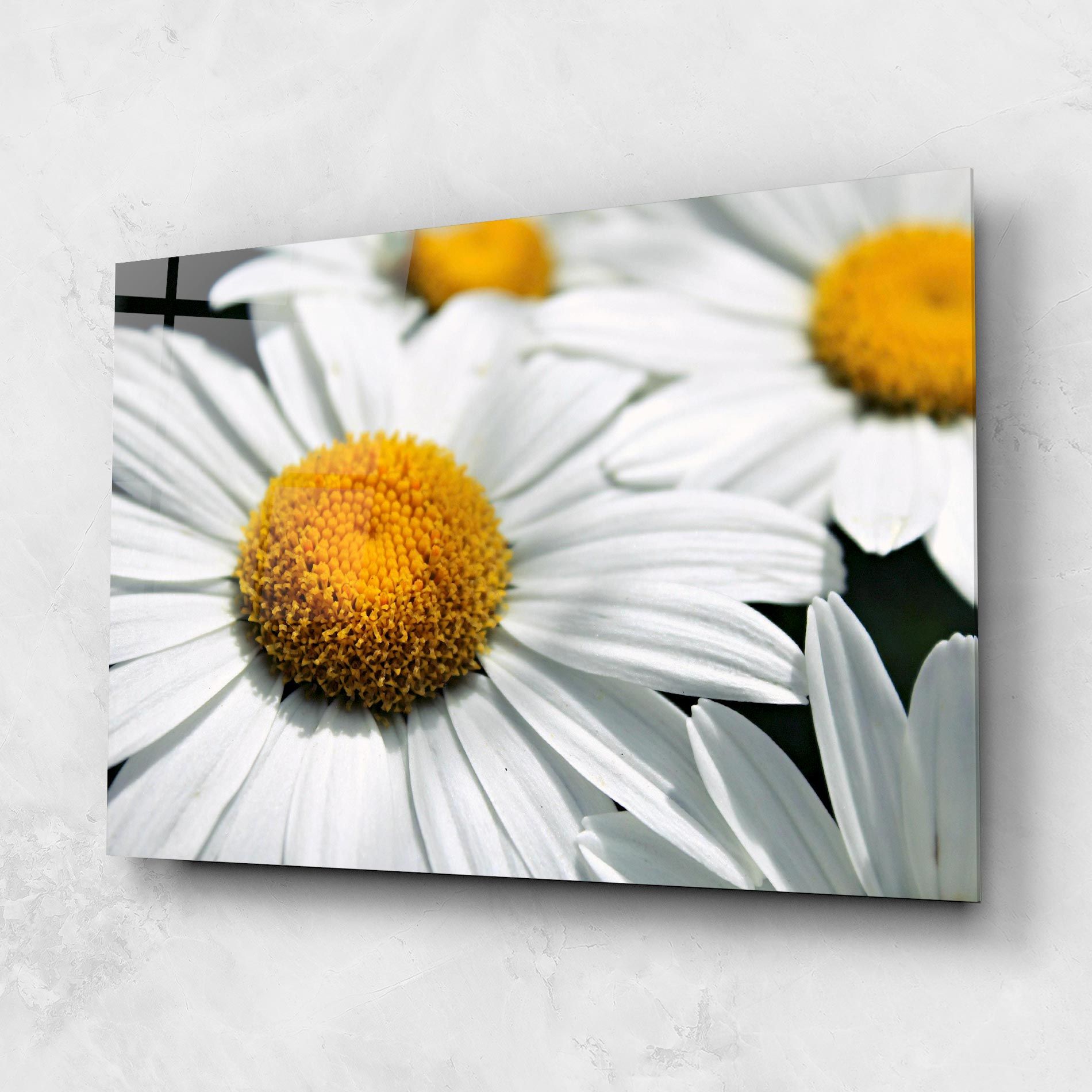 Big Daisies mockup 1