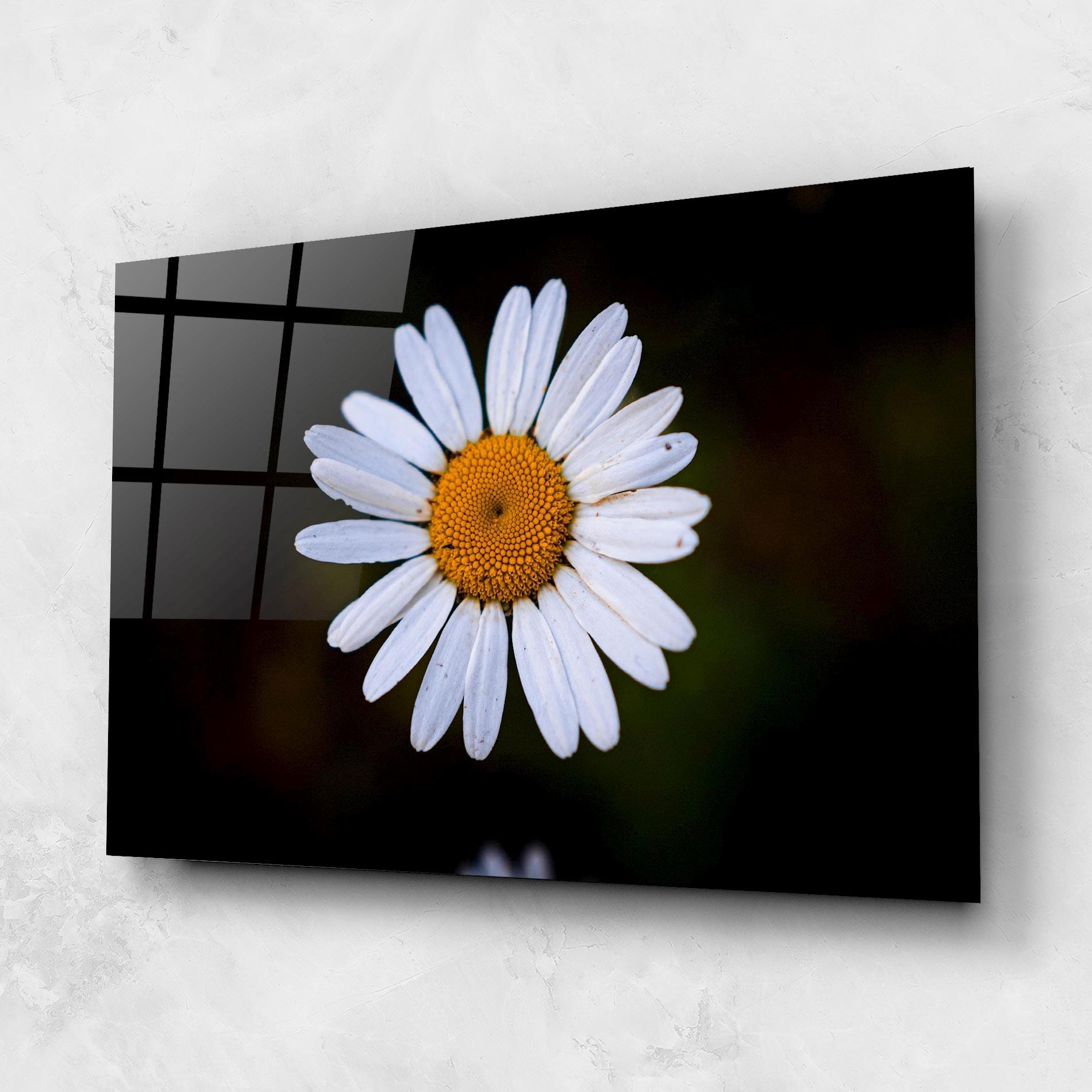 Tablou Sticla Big Yellow Center Daisy mockup 1