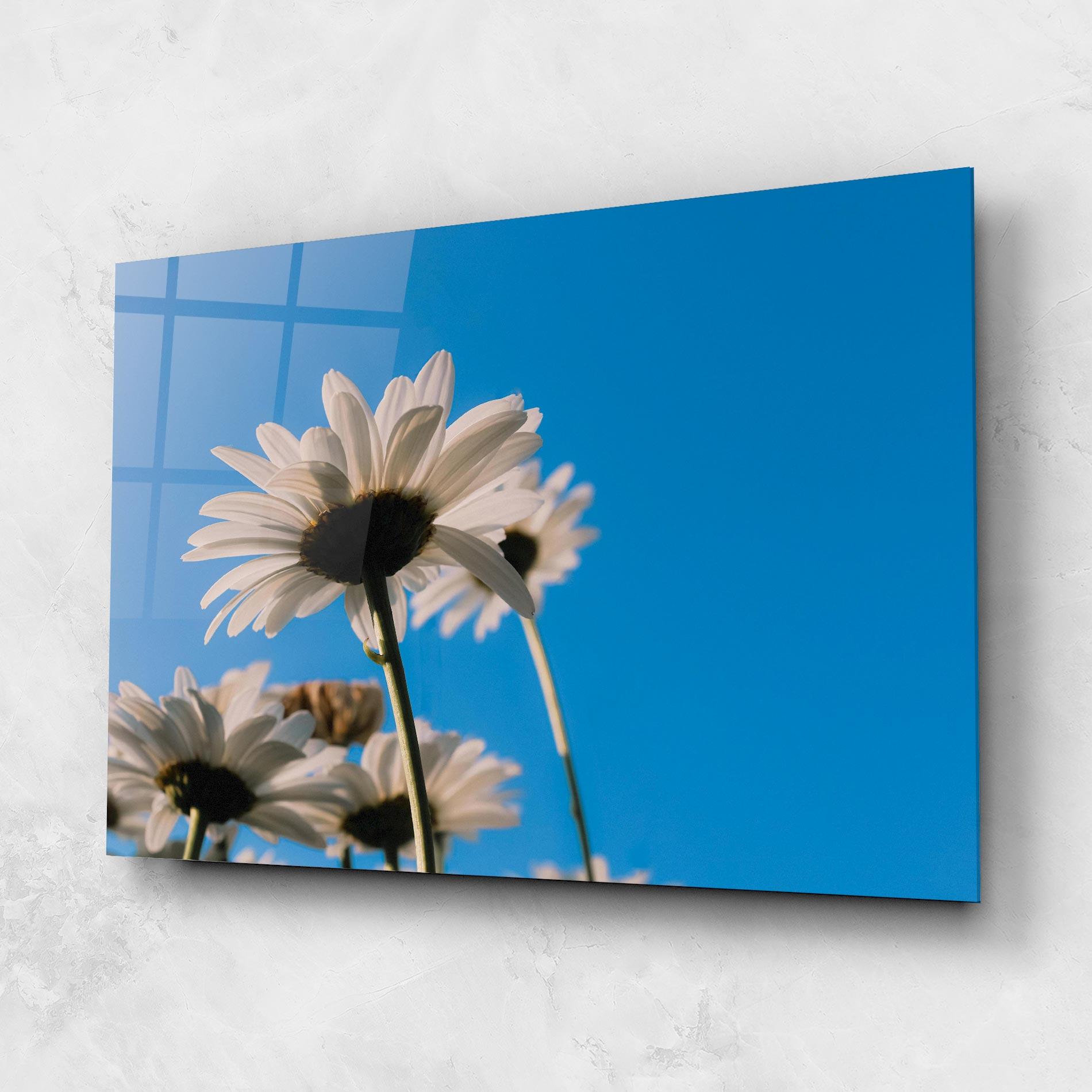 Tablou Sticla Blue Sky Daisy mockup 1