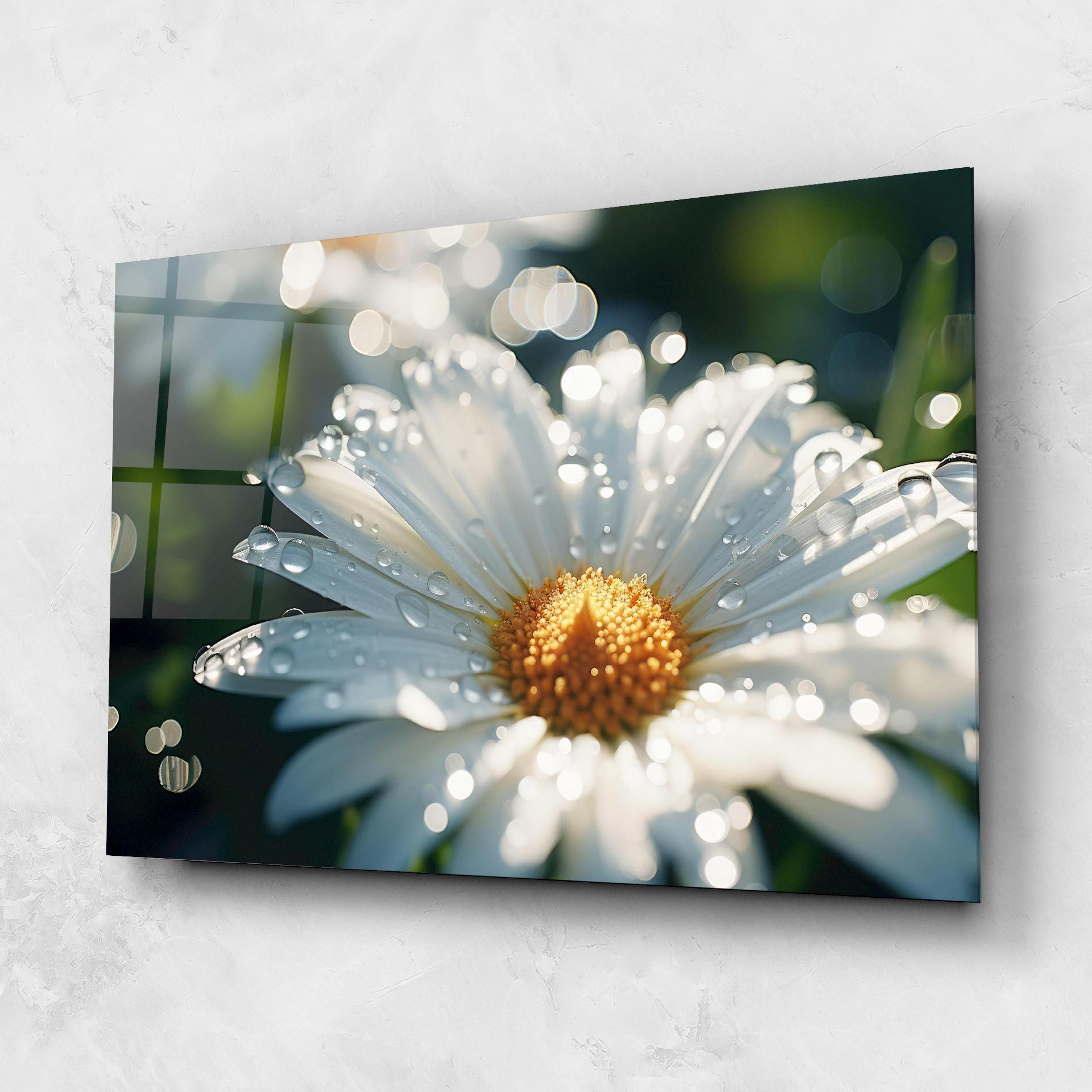 Daisy After Rain Close Up mockup 1