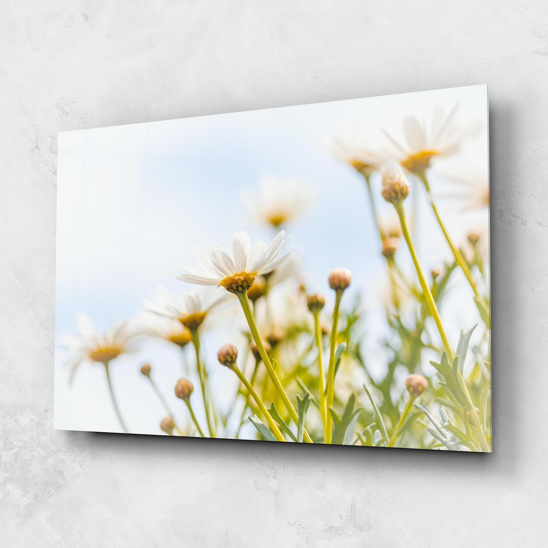 Dreamy Daisy mockup 1