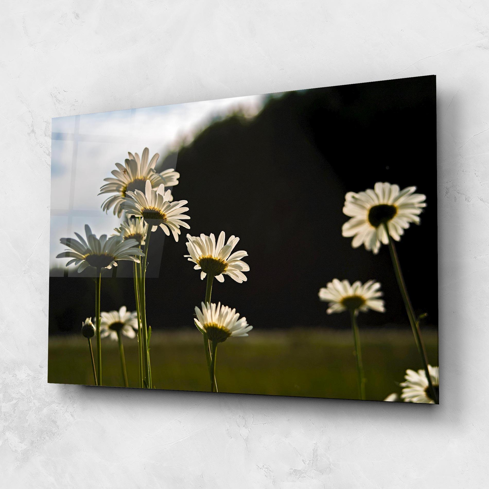 Tablou Sticla Wild Daisy mockup 1
