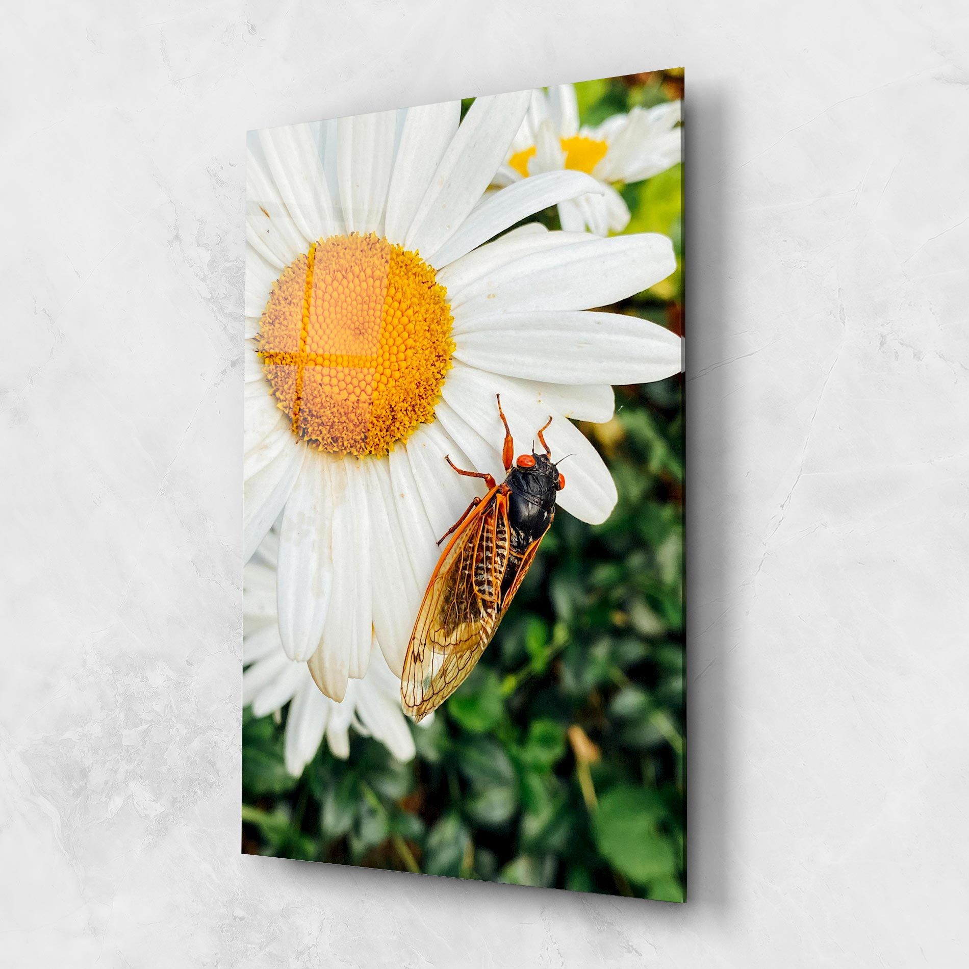 Bug On The Daisy mockup 1