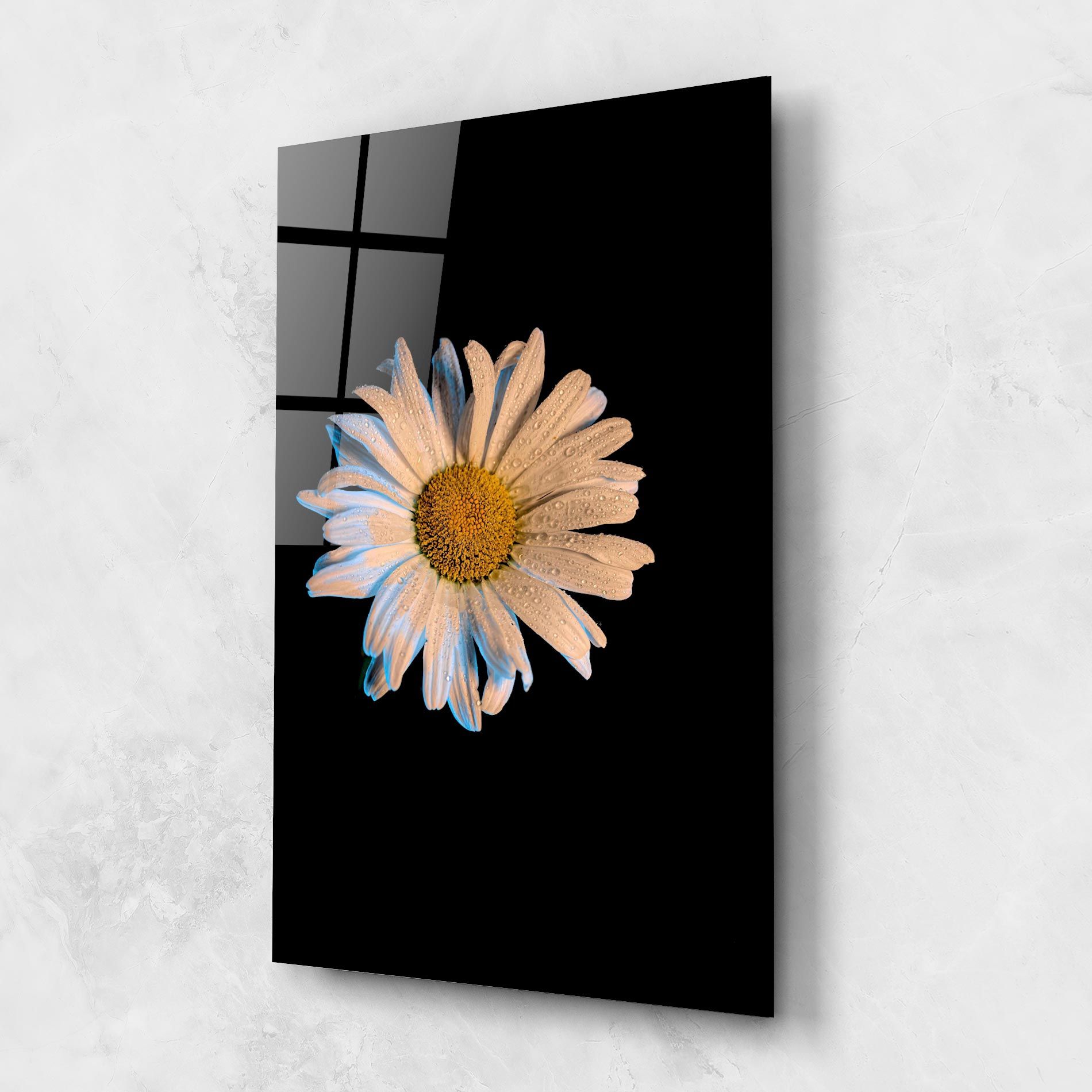 Daisy mockup 1