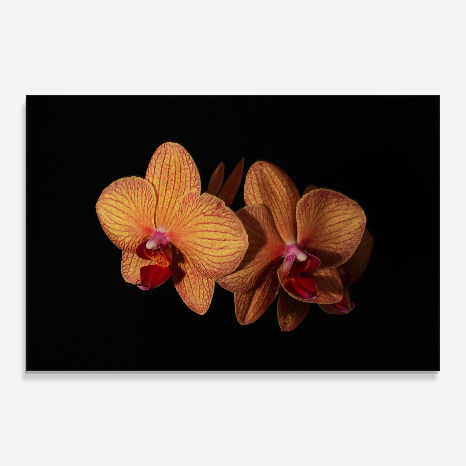 Tablou Sticla Light Orange Orchid mockup 0