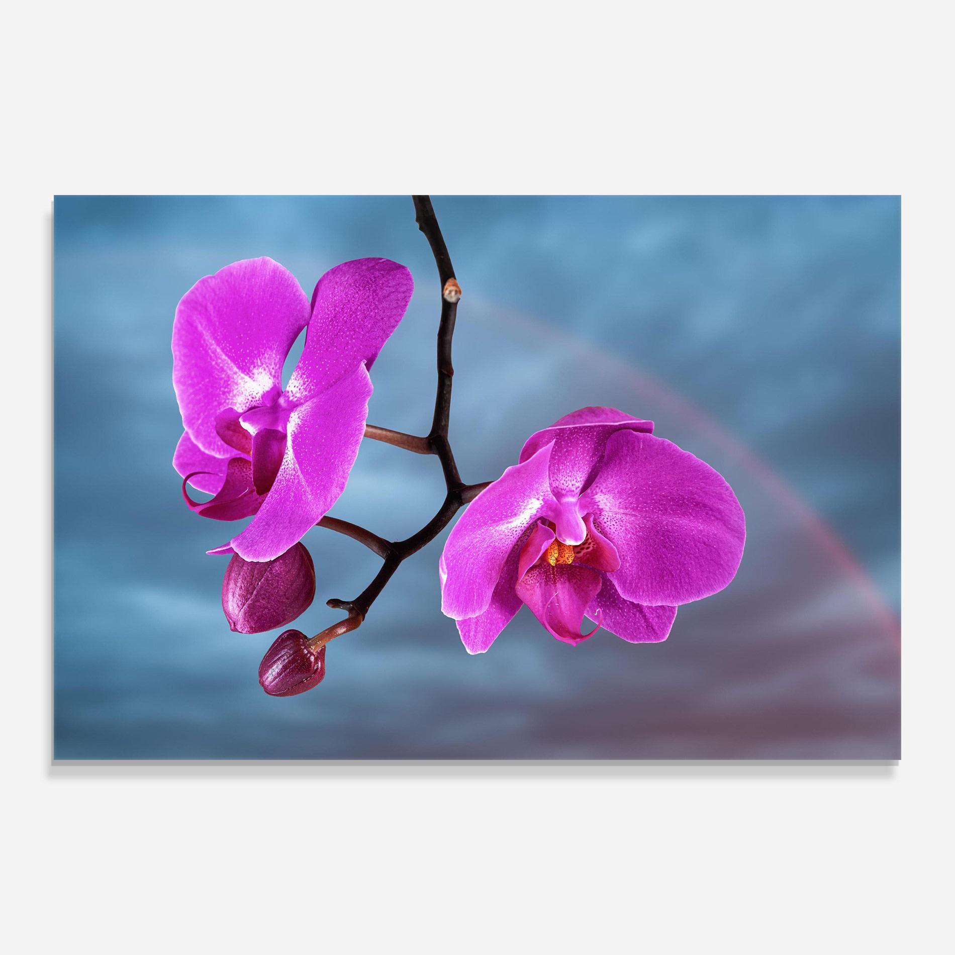Tablou Sticla Sky Purple Orchid mockup 0