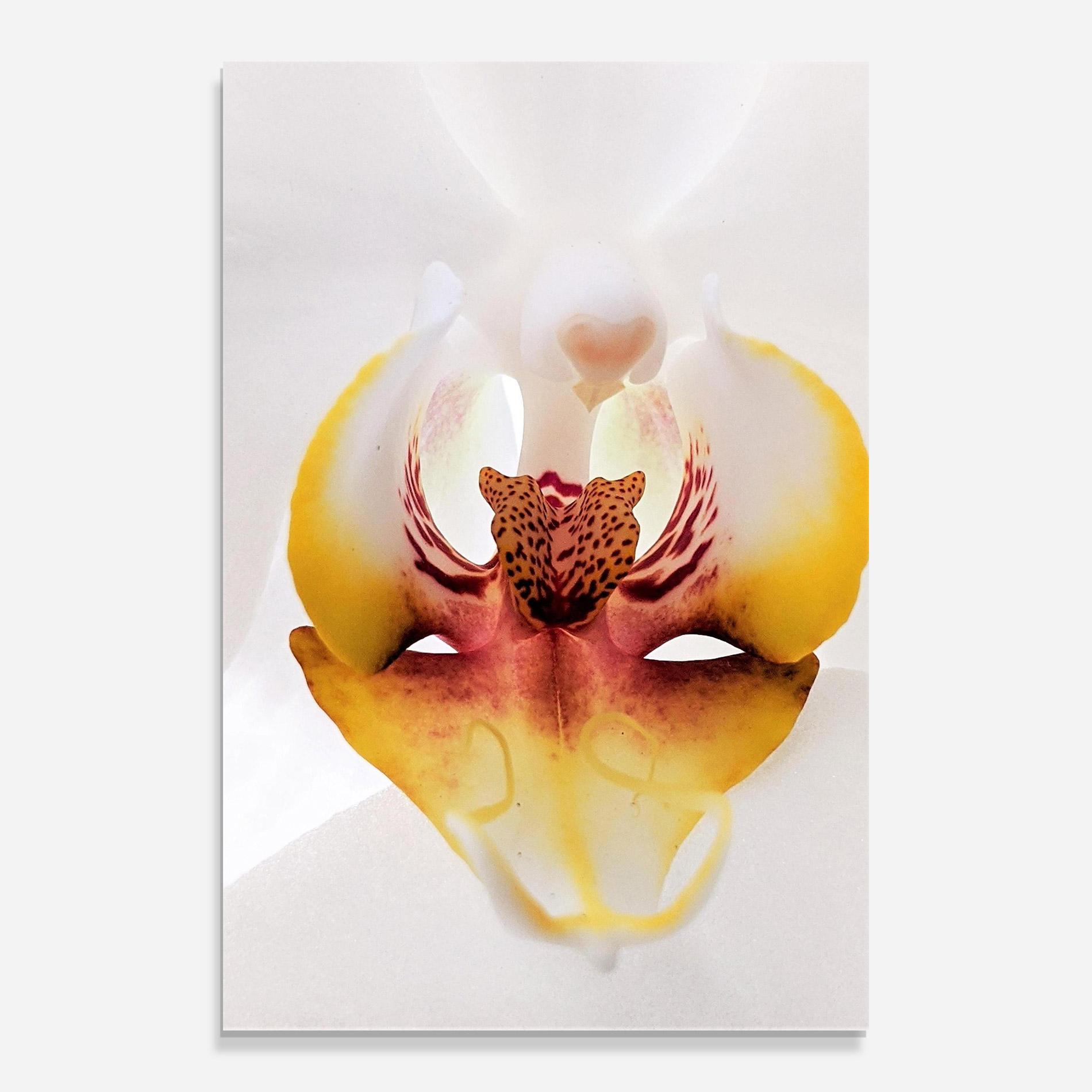 Tablou Sticla Orchid Close Up mockup 0