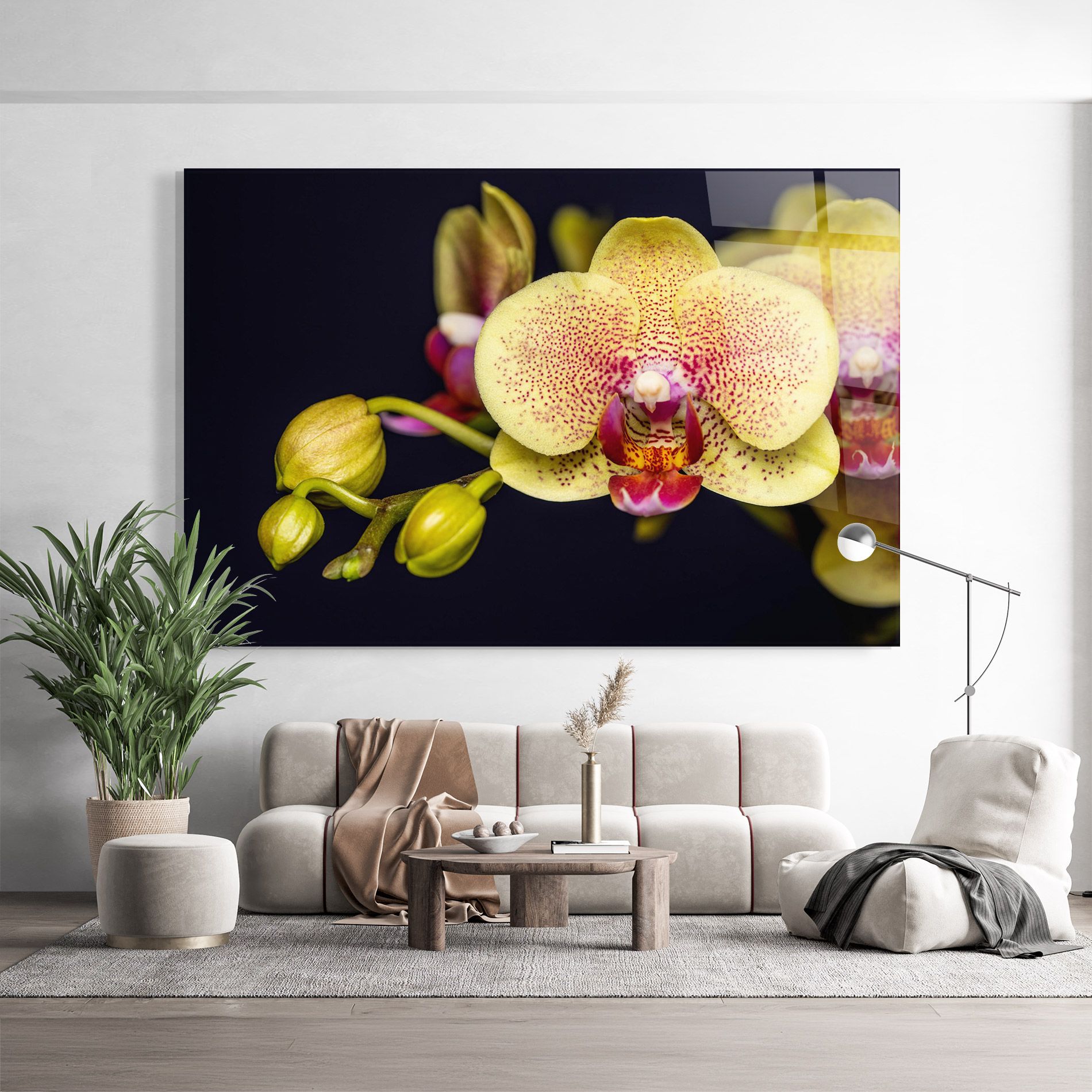 Baby Orchid mockup 9