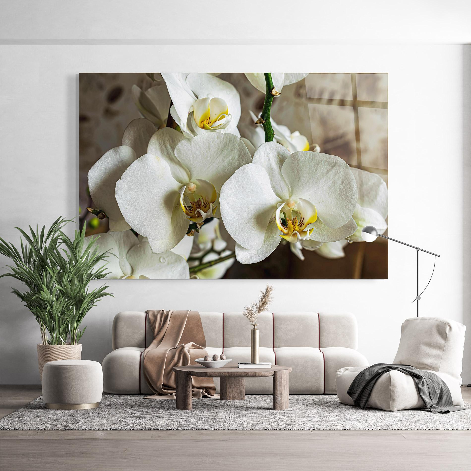 Tablou Sticla Beautiful White Orchids mockup 9