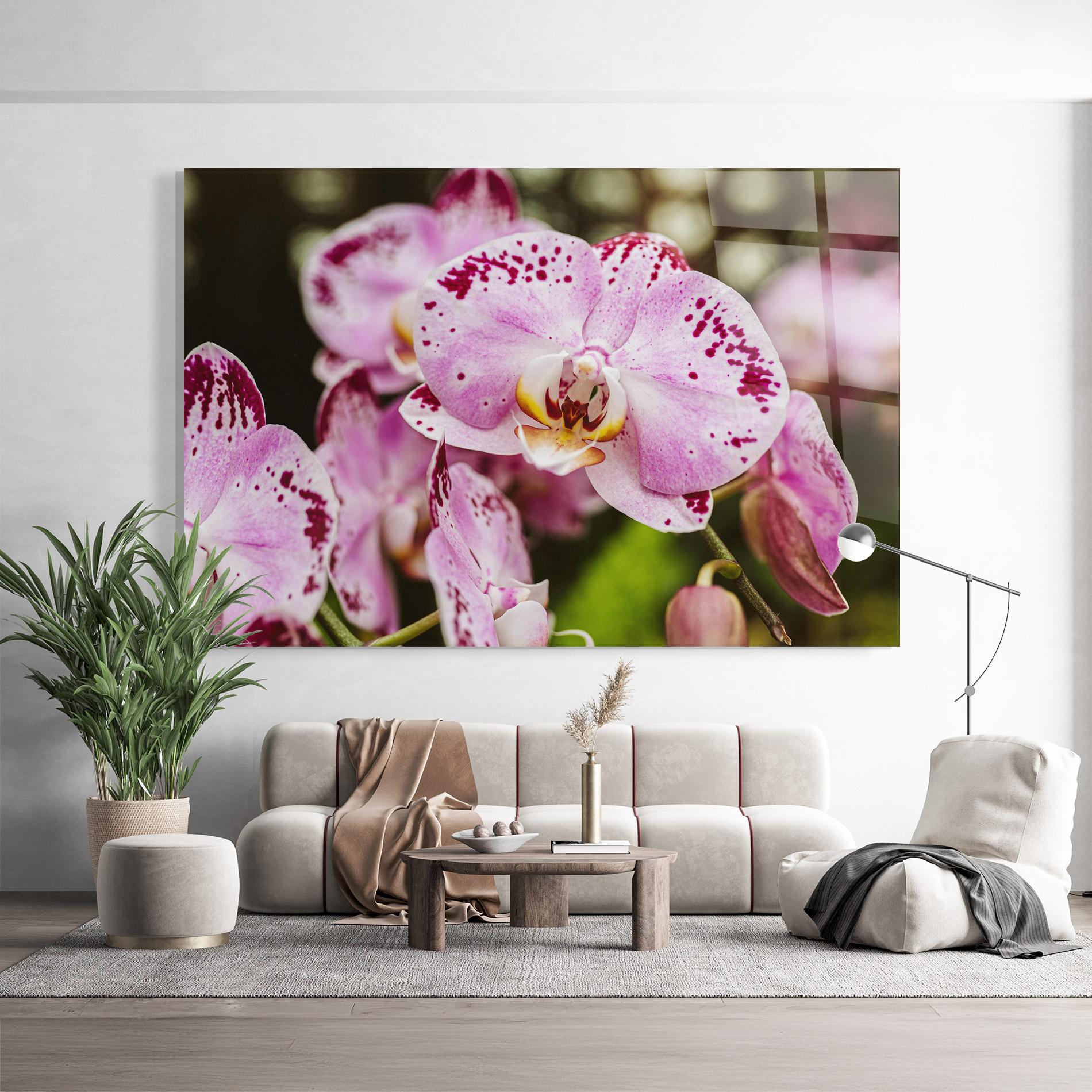 Tablou Sticla Big Pink Orchid In Nature mockup 9