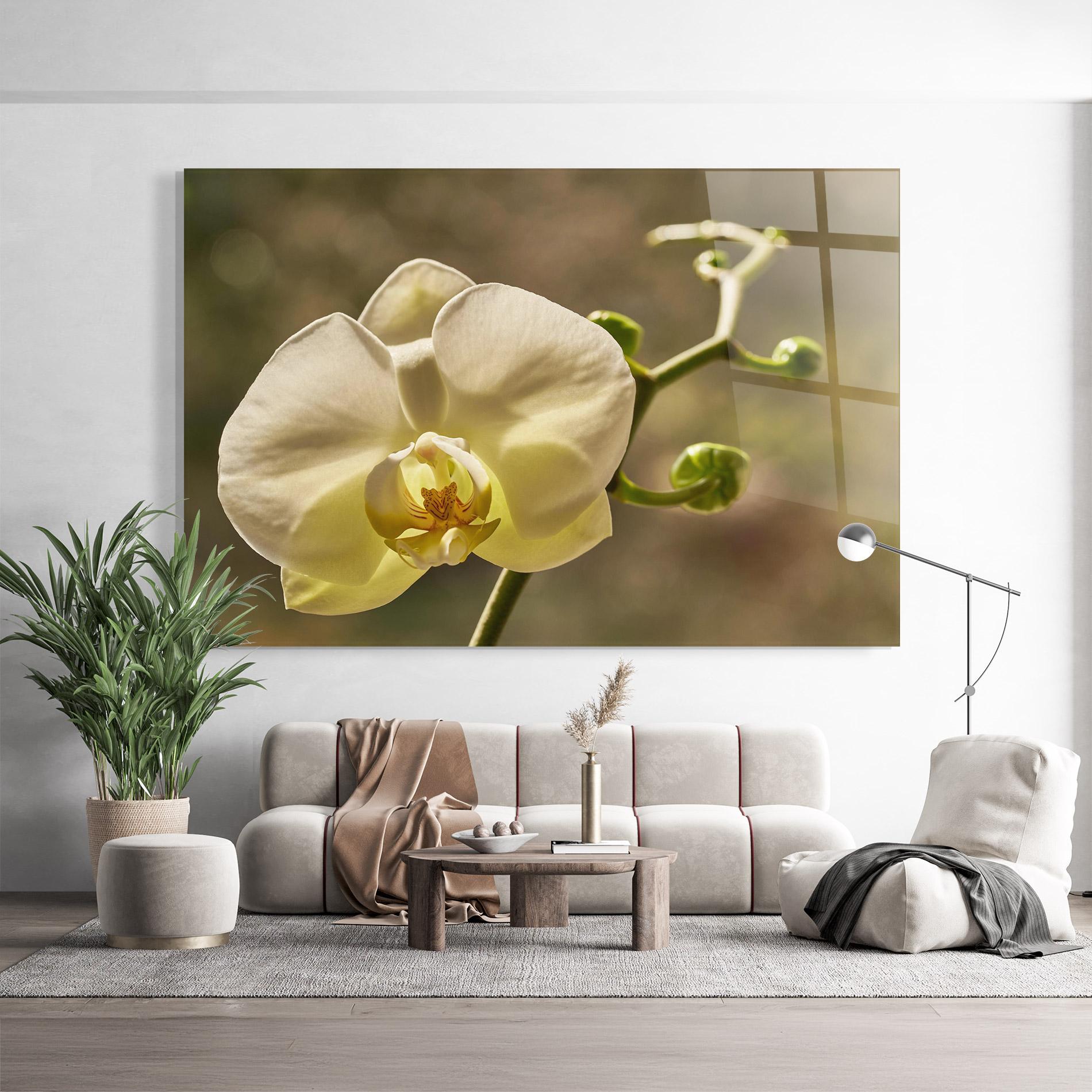 Tablou Sticla Pastel Yellow Orchid In Garden mockup 9