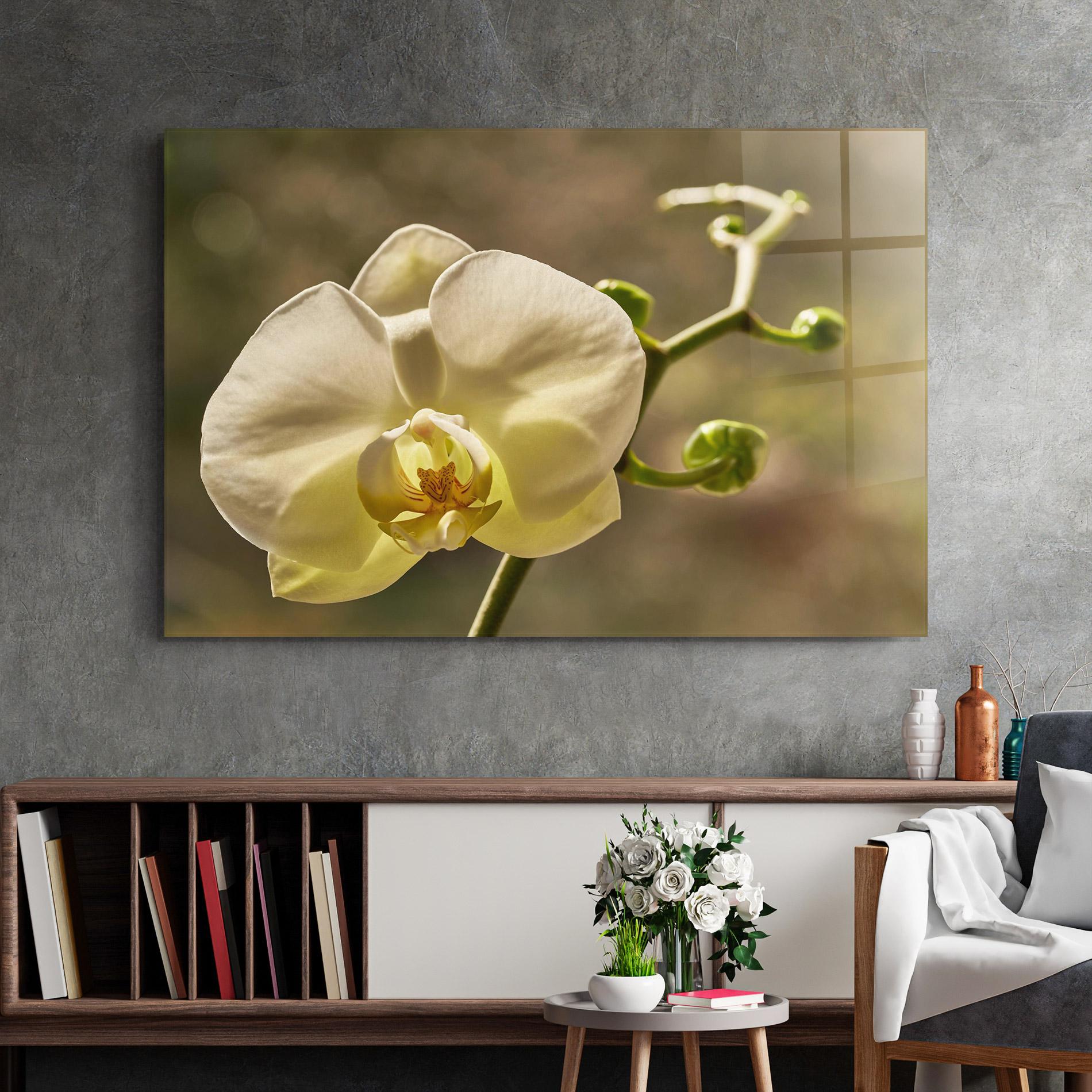 Tablou Sticla Pastel Yellow Orchid In Garden mockup 2