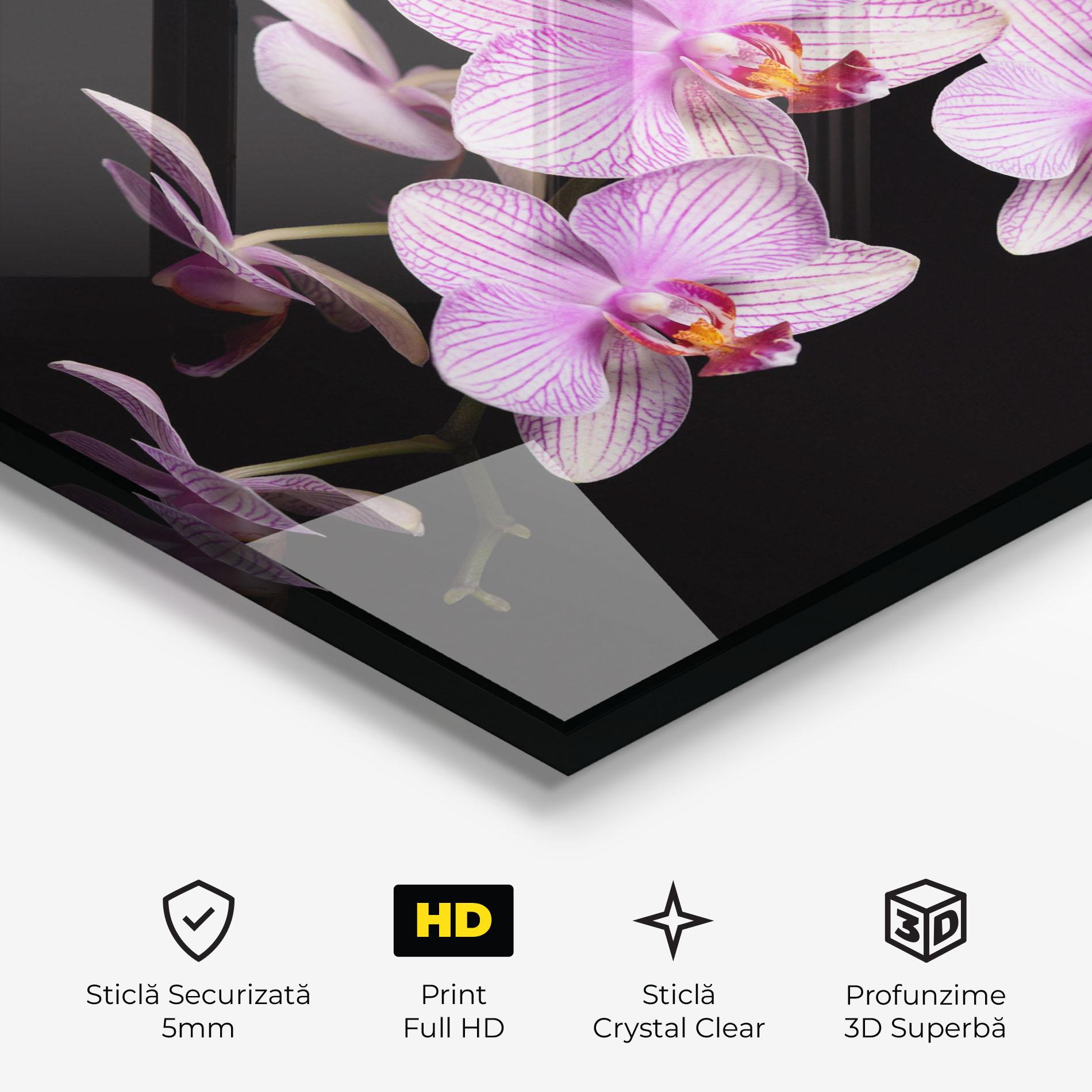 Tablou Sticla Beautiful Orchids On Black mockup 3