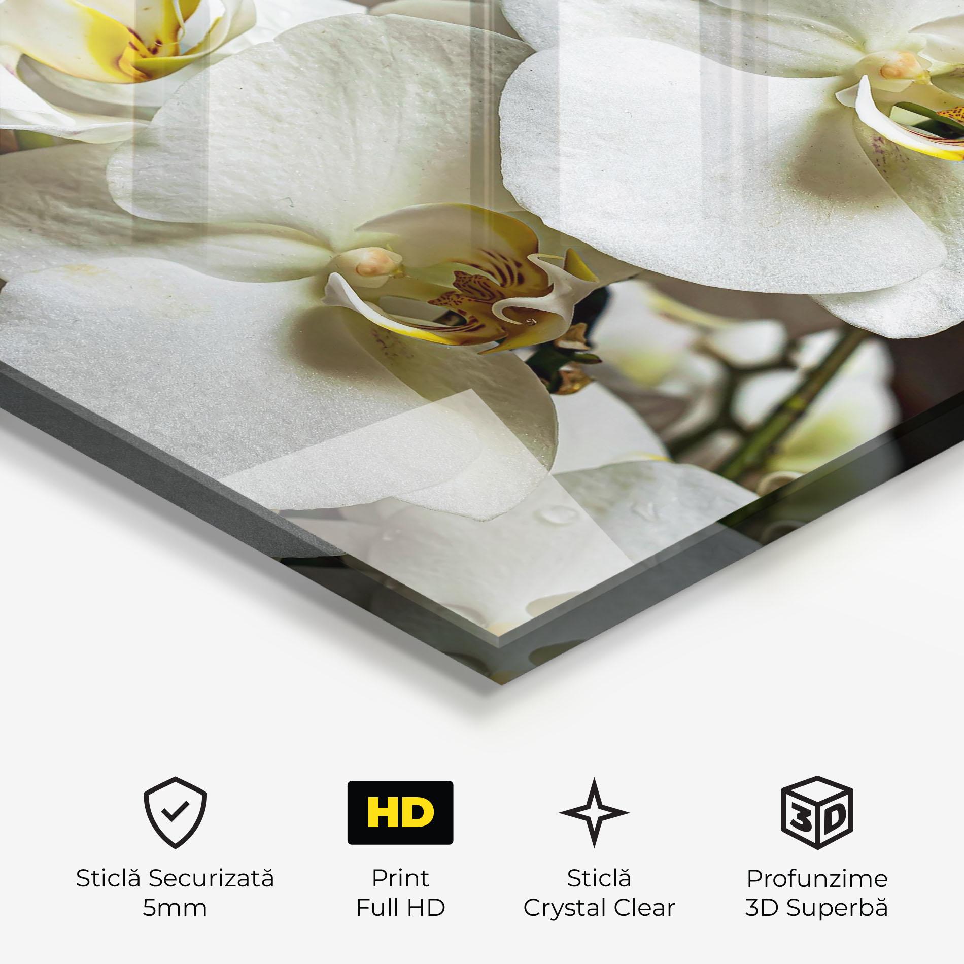 Tablou Sticla Beautiful White Orchids mockup 3