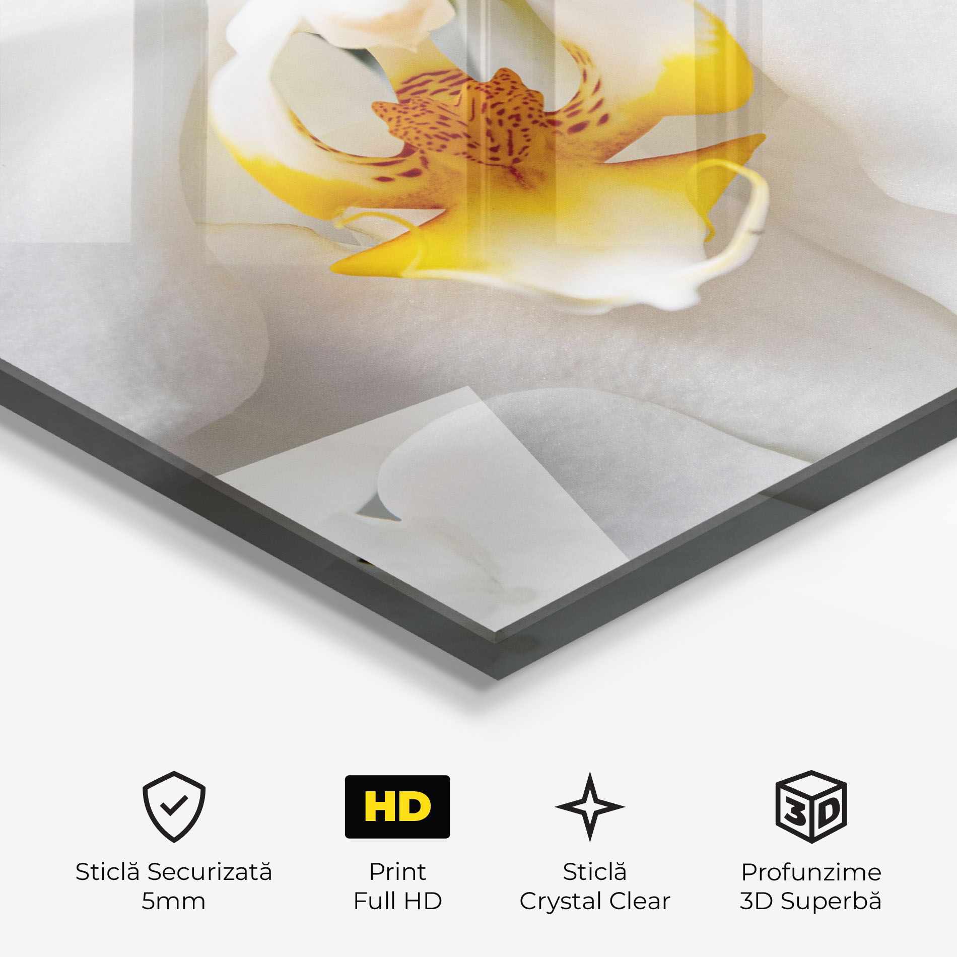 Big Orchid Close Up mockup 3