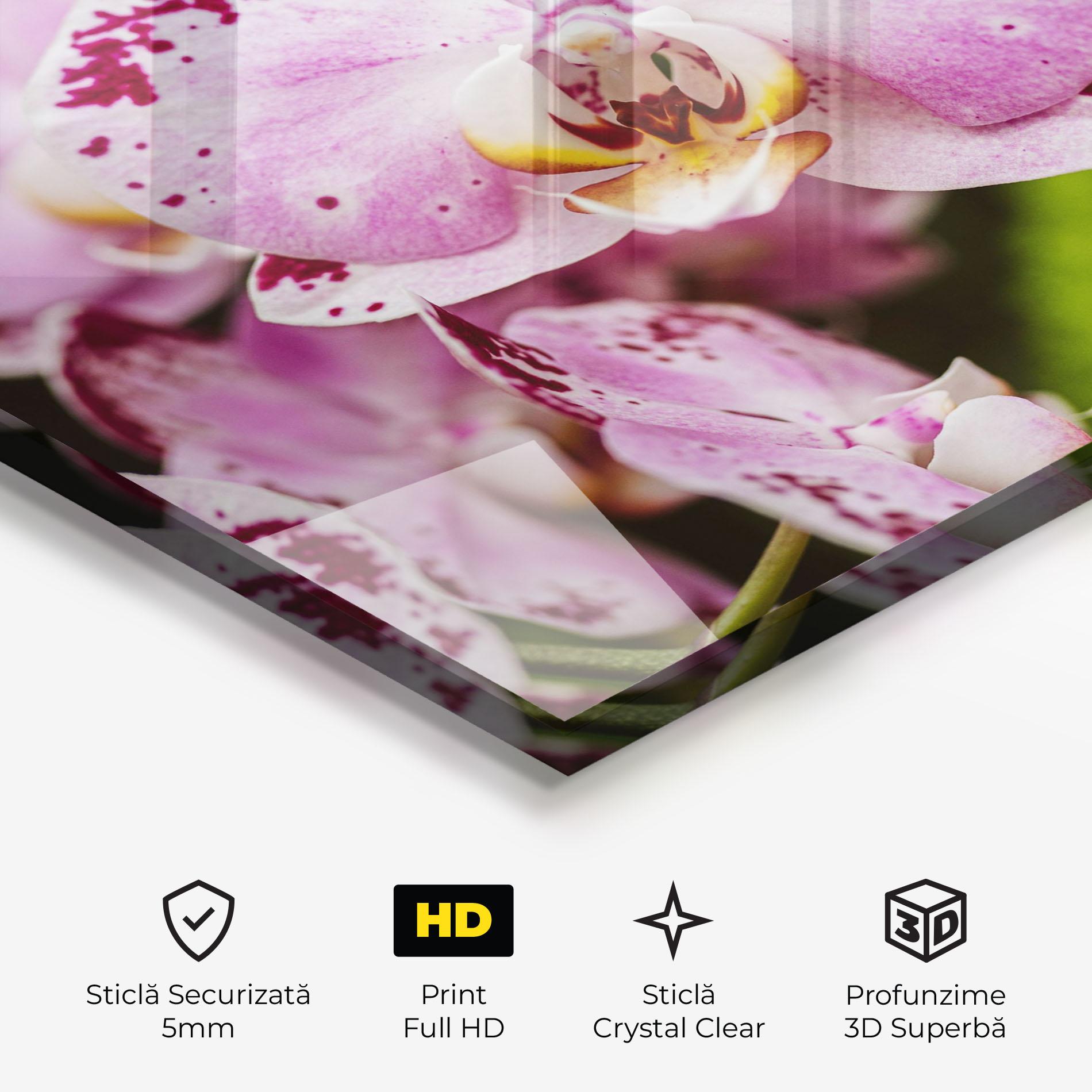 Tablou Sticla Big Pink Orchid In Nature mockup 3