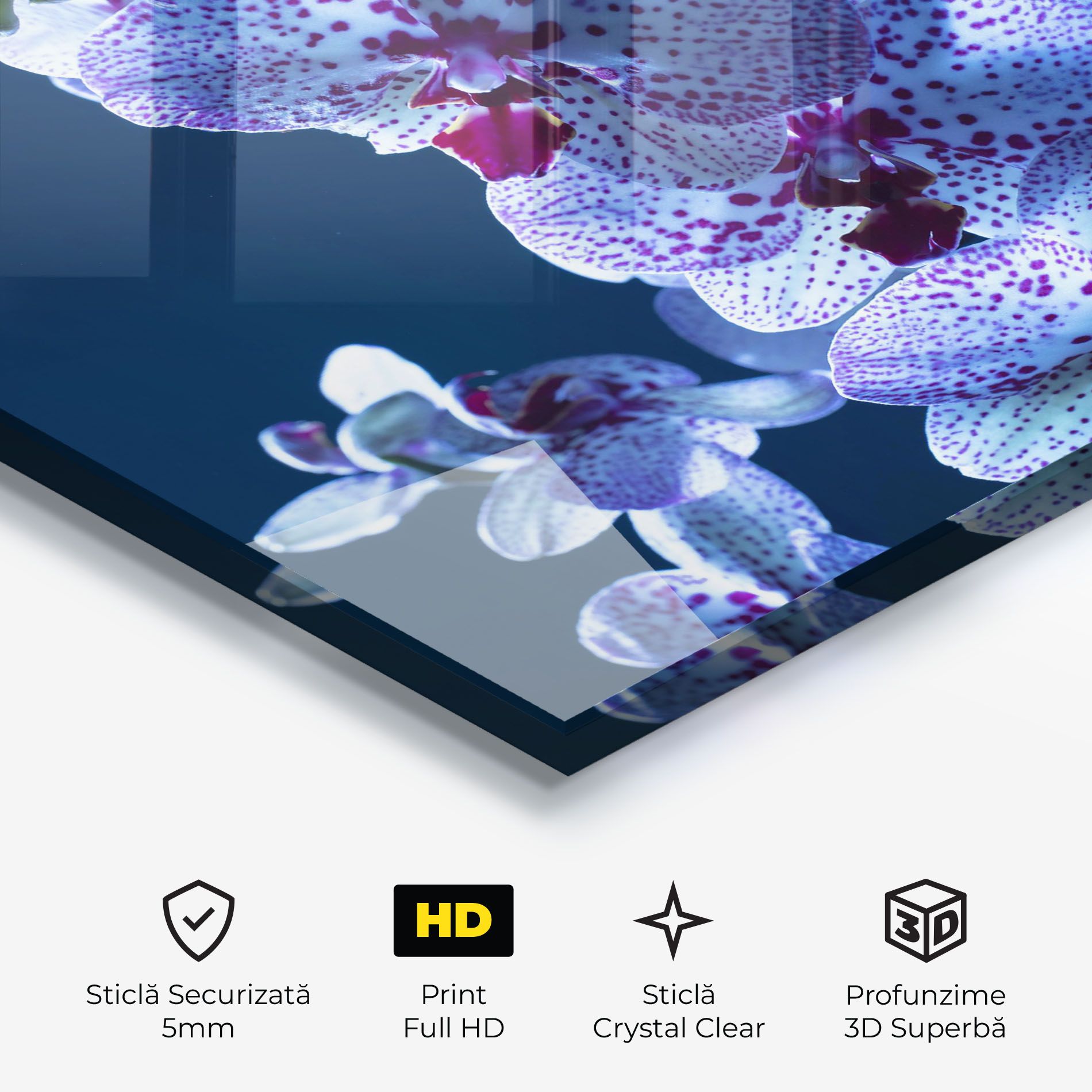 Blue Light Orchid mockup 3