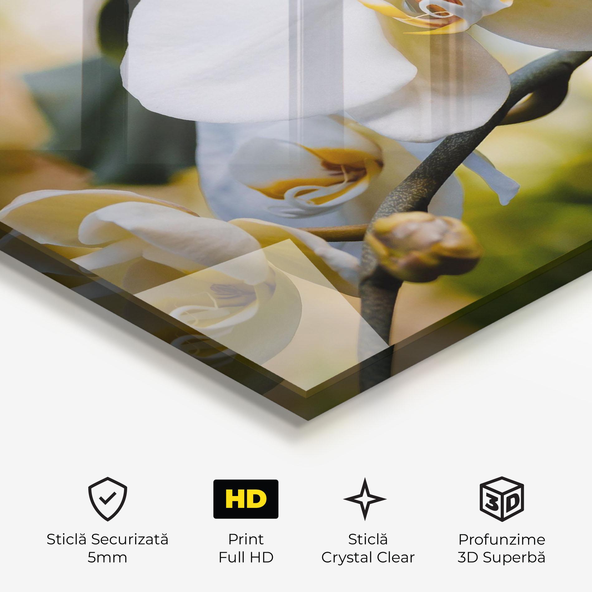 Tablou Sticla Cream Orchid In Nature mockup 3