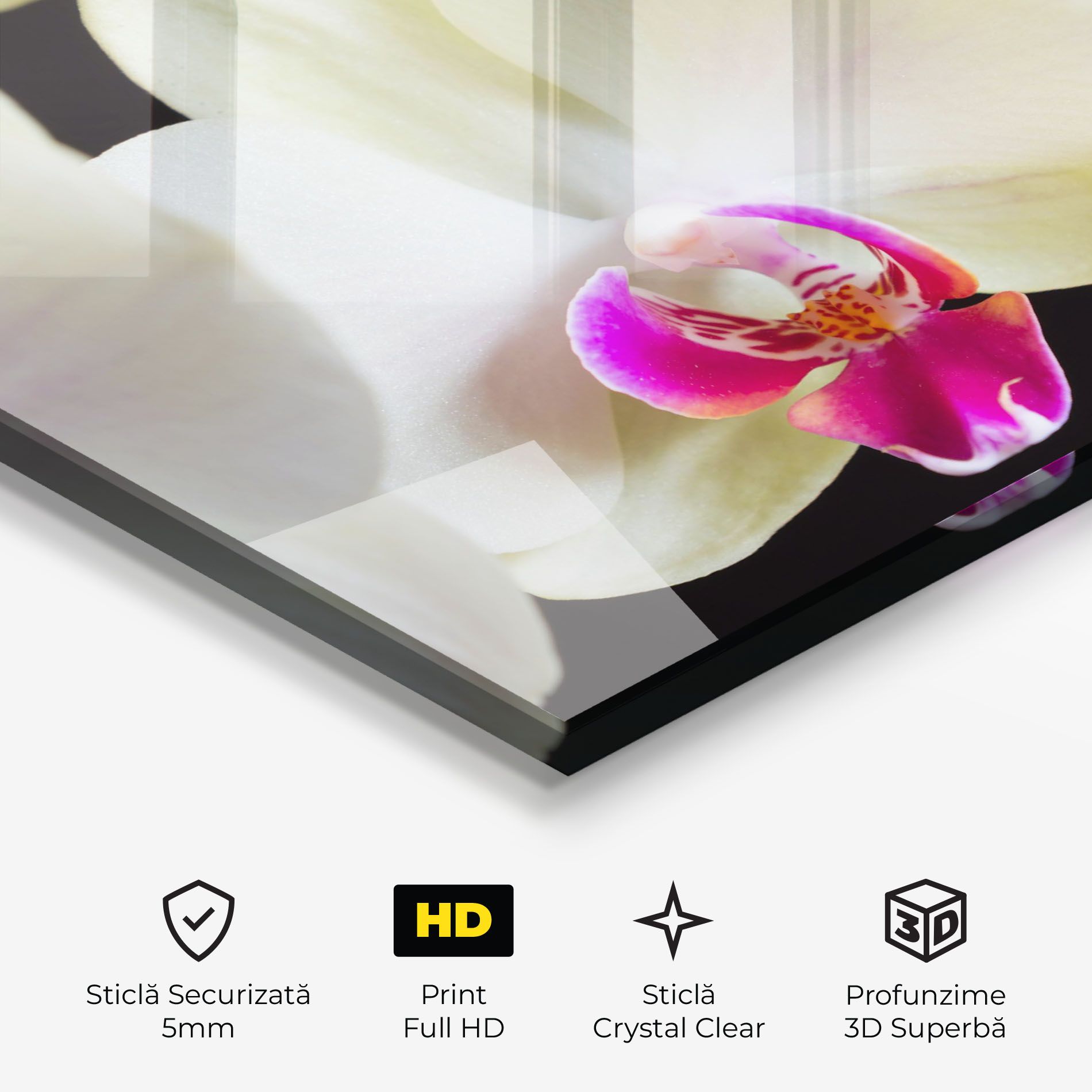 Cream Purple Orchids mockup 3