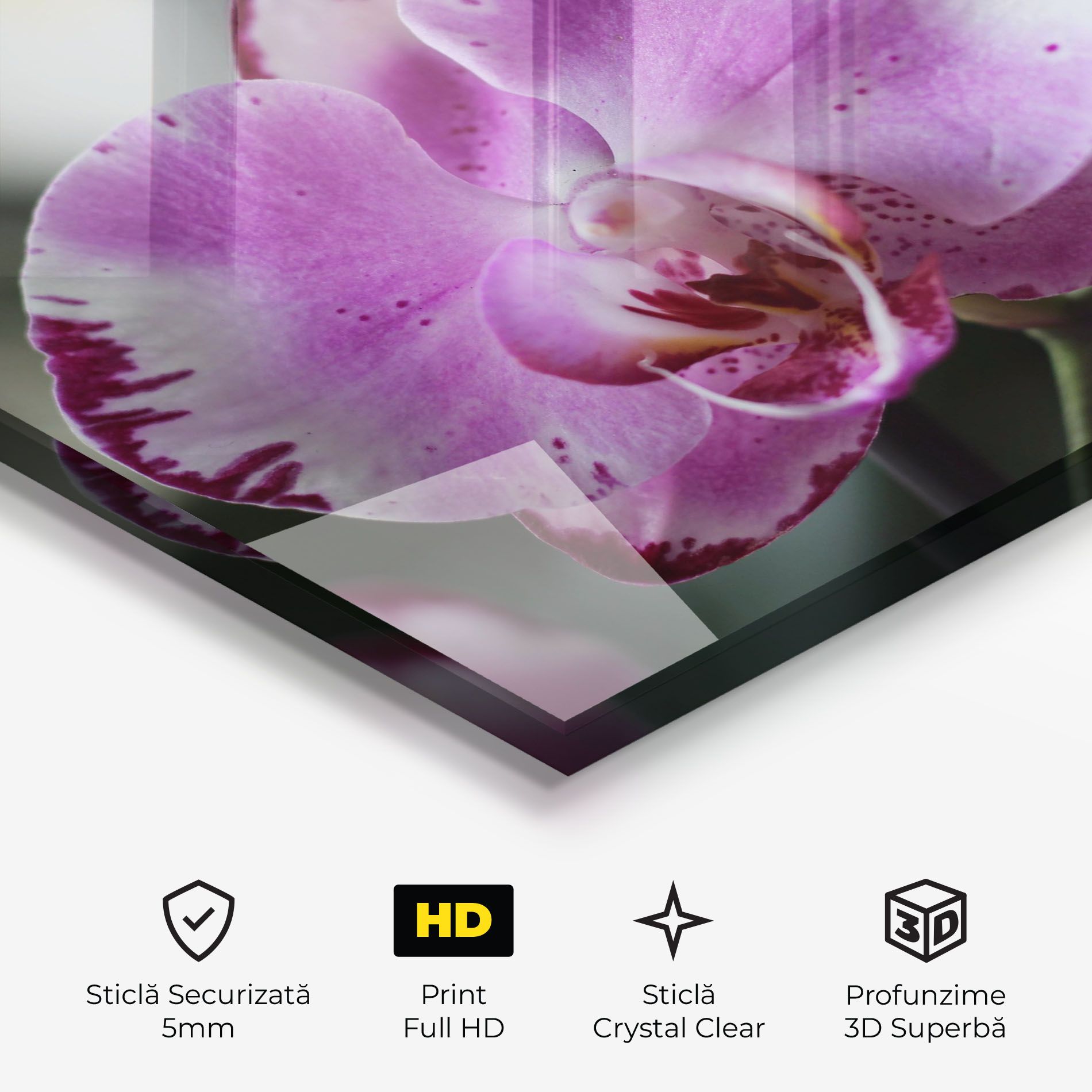 Dark Purple Orchids In Nature mockup 3