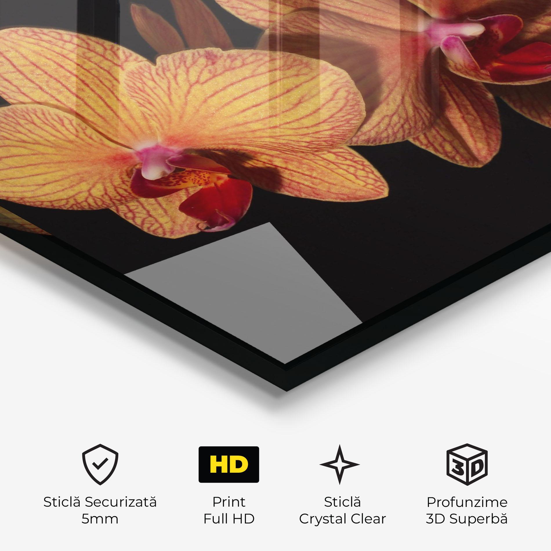 Tablou Sticla Light Orange Orchid mockup 3