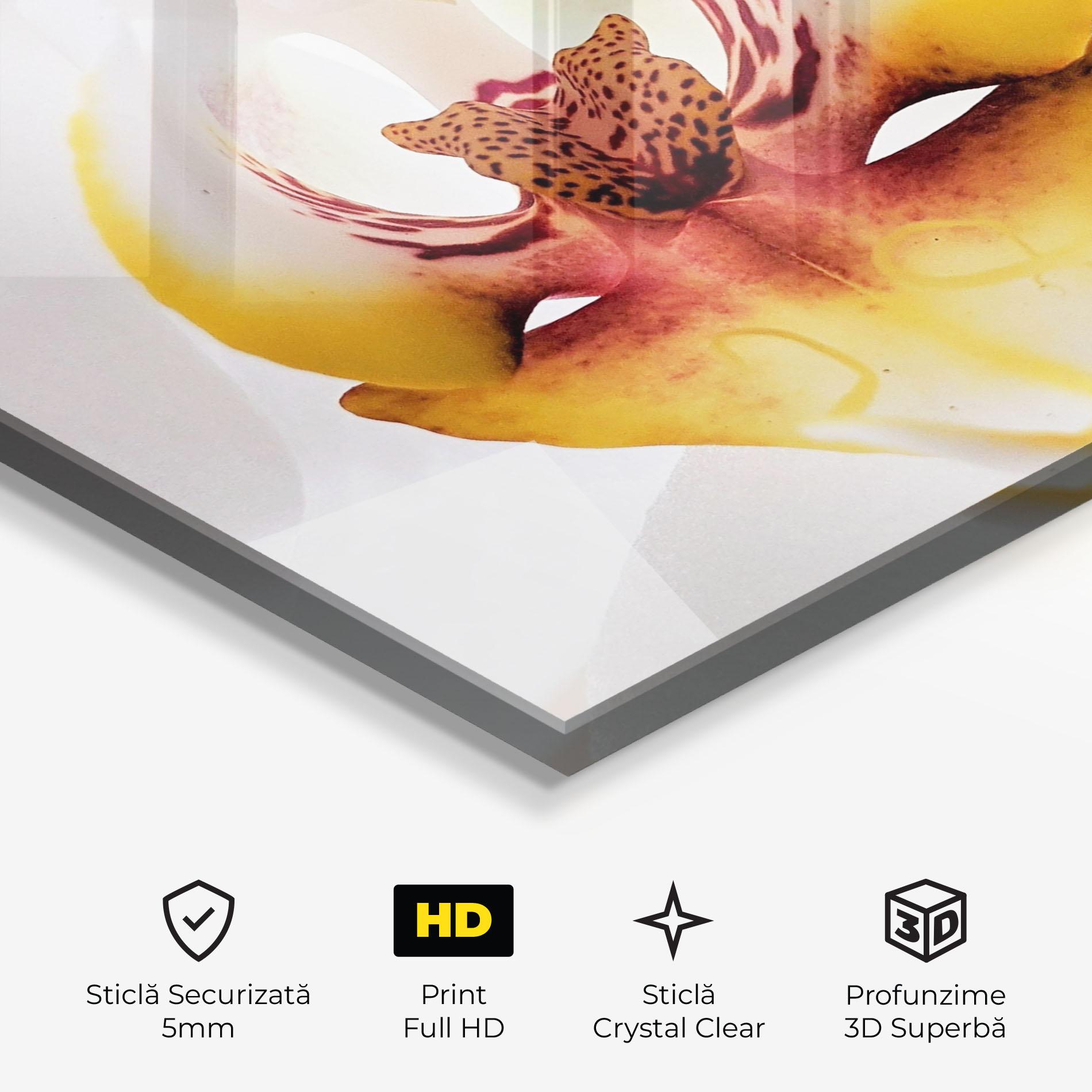 Tablou Sticla Orchid Close Up mockup 3