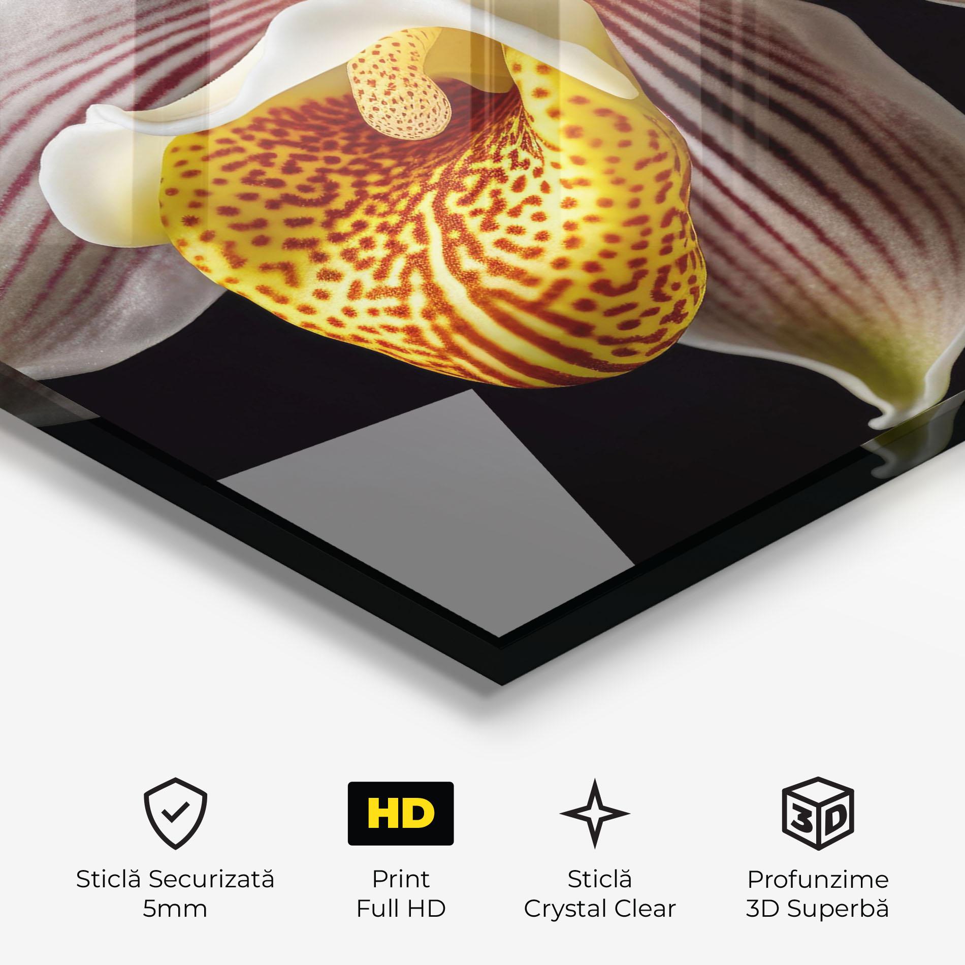 Tablou Sticla Orchid On Black mockup 3