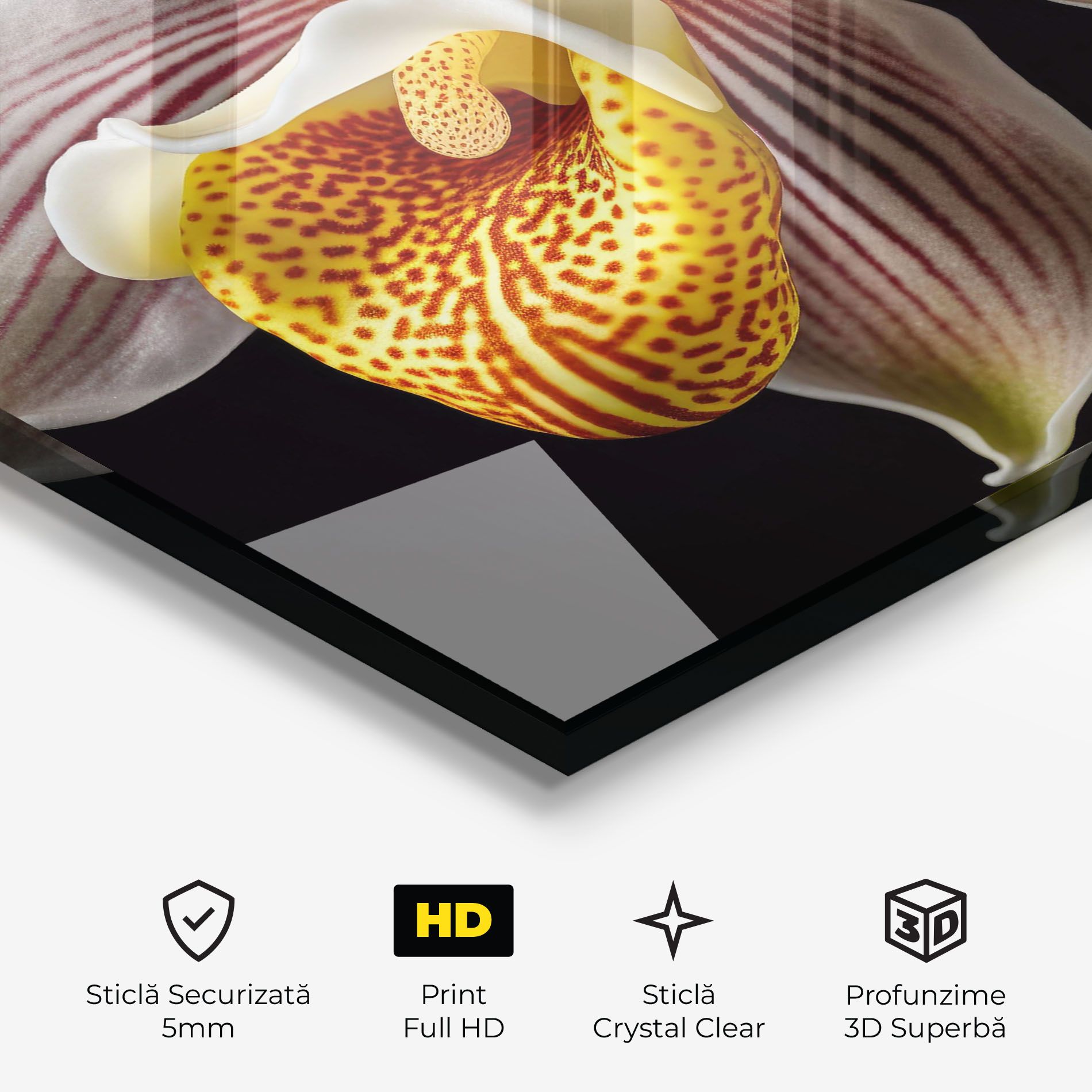 Orchid On Black mockup 3