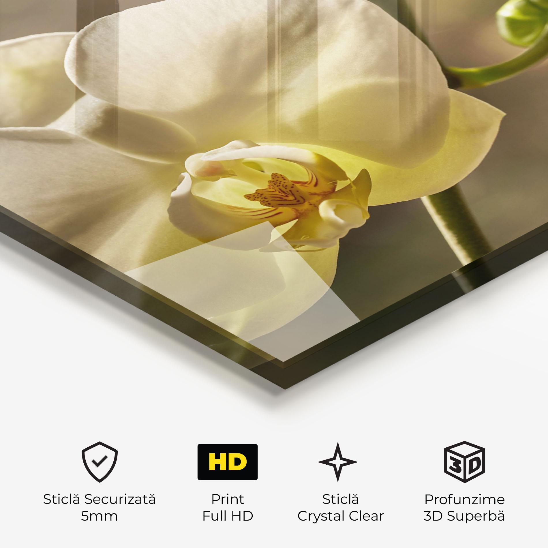 Tablou Sticla Pastel Yellow Orchid In Garden mockup 3