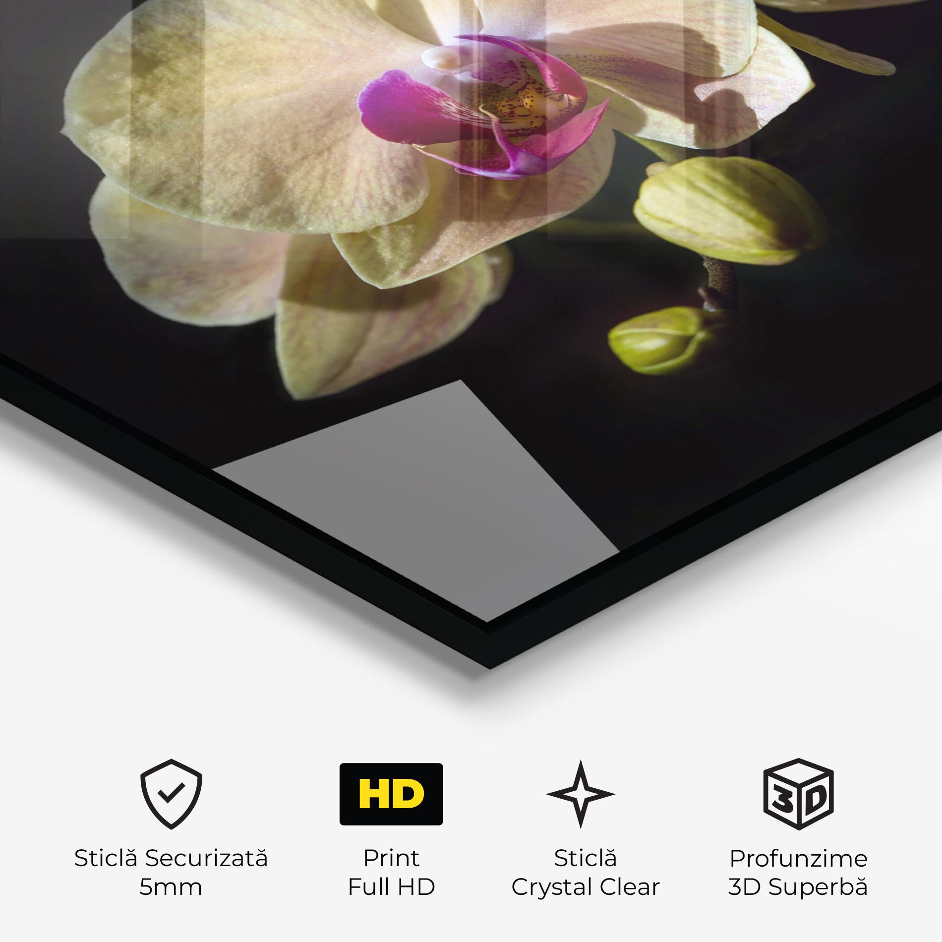 Tablou Sticla Pastel Yellow Orchids mockup 3