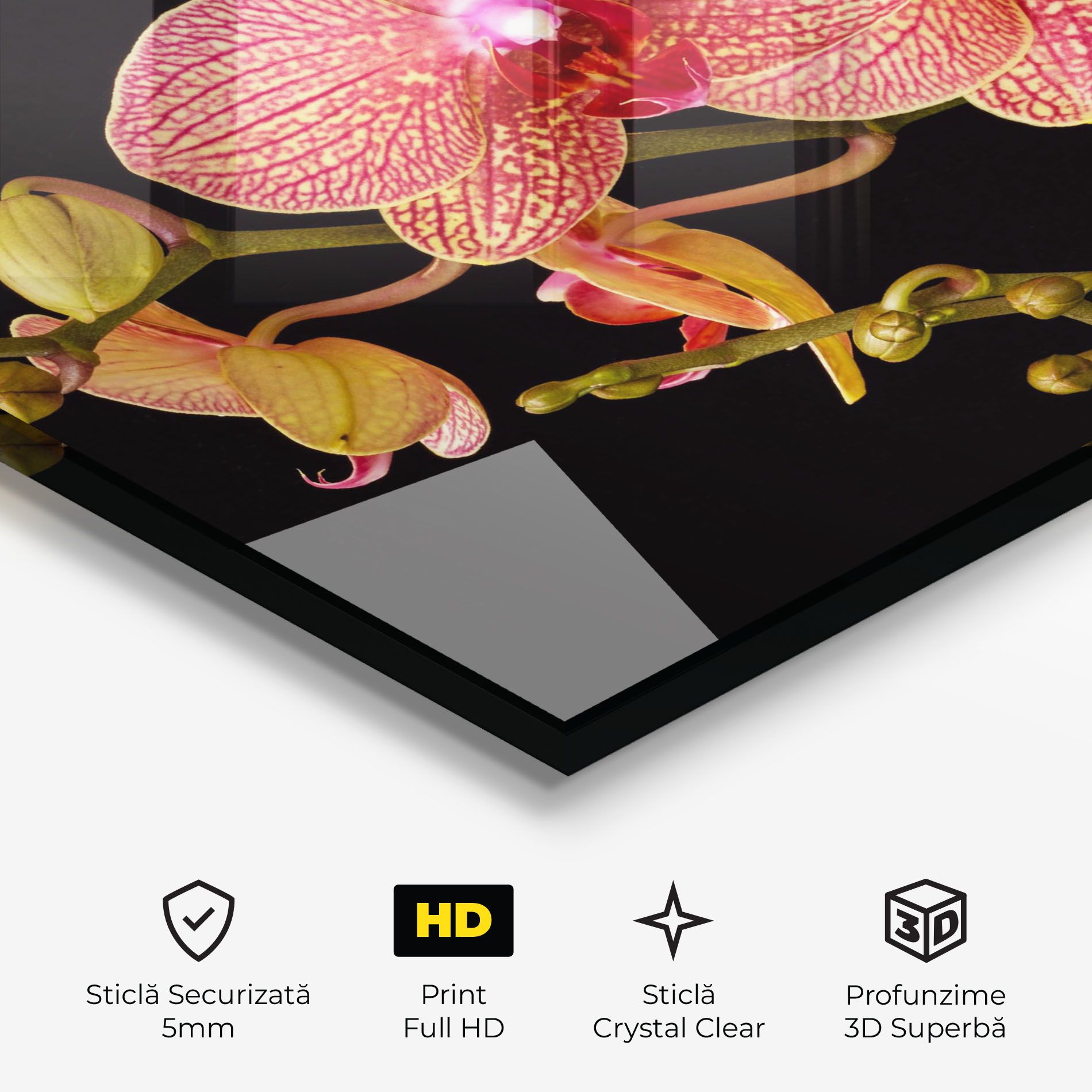 Pink Orchids On Black mockup 3