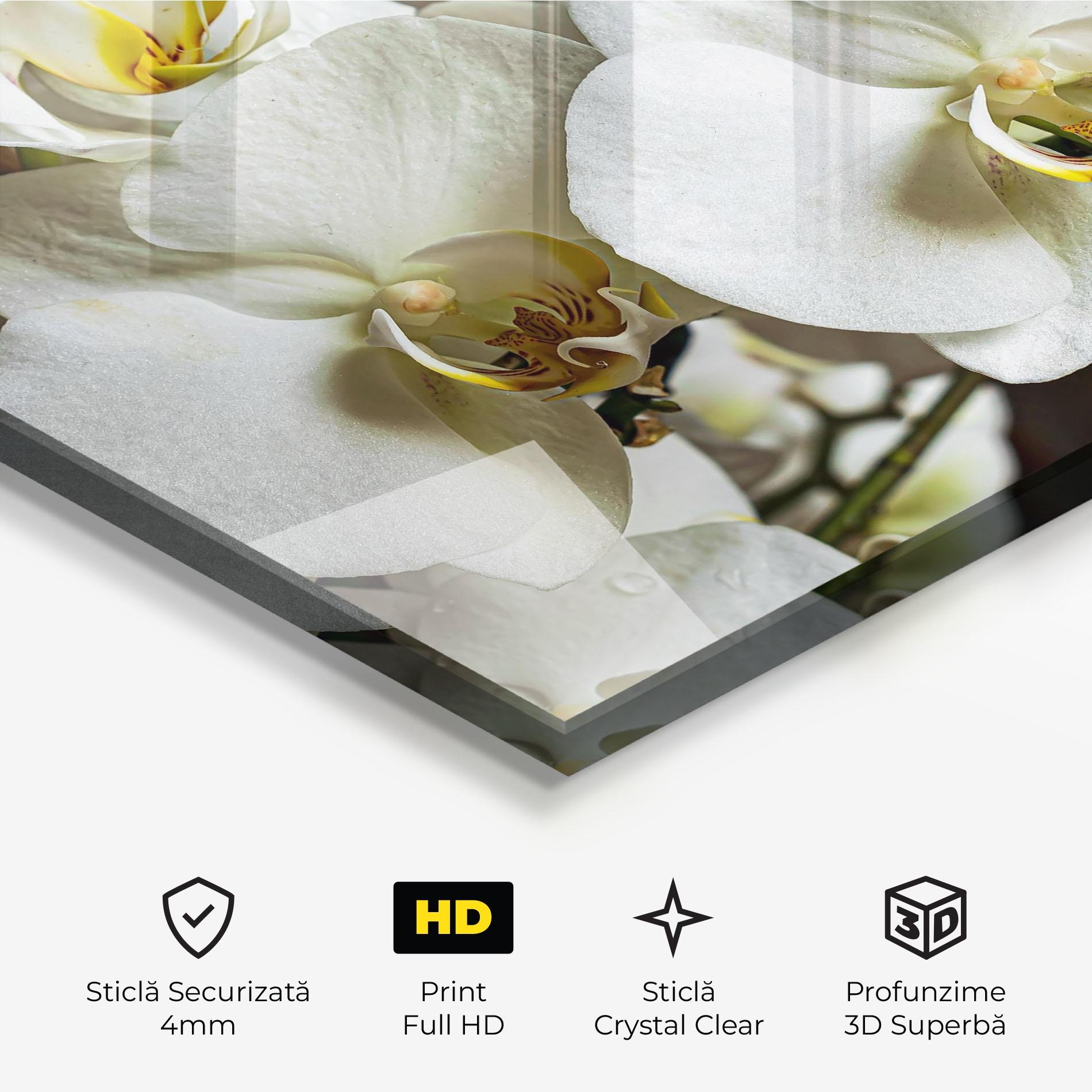 Tablou Sticla Beautiful White Orchids mockup 3