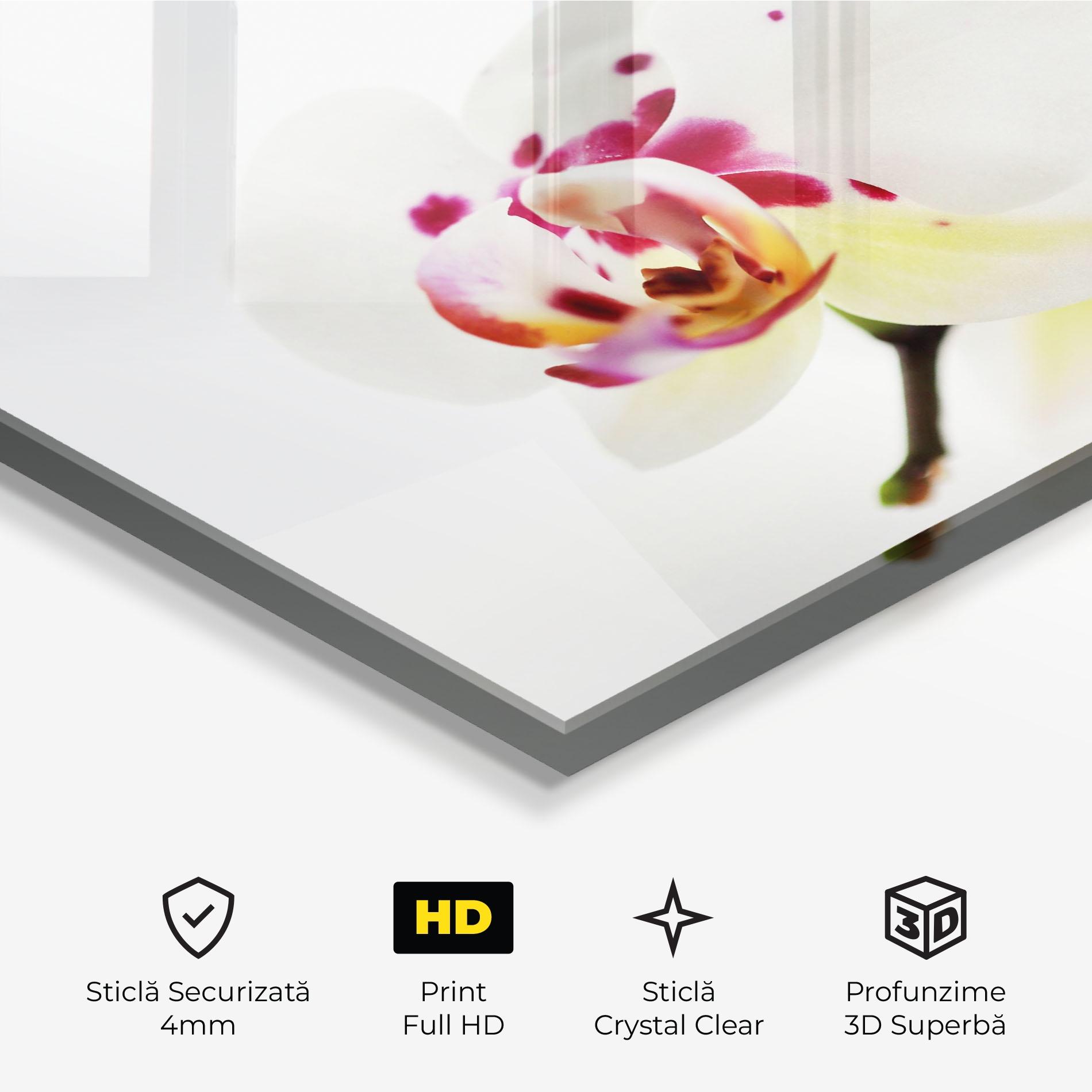 Tablou Sticla Clean White Orchid mockup 3