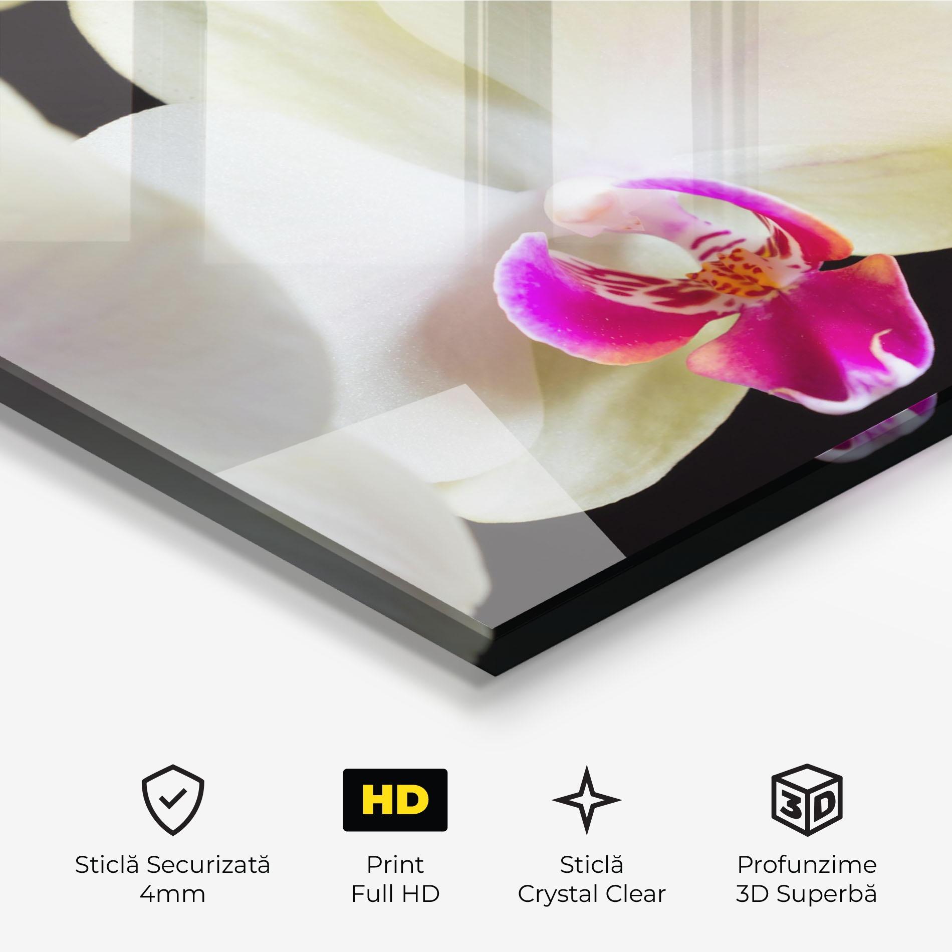 Tablou Sticla Cream Purple Orchids mockup 3