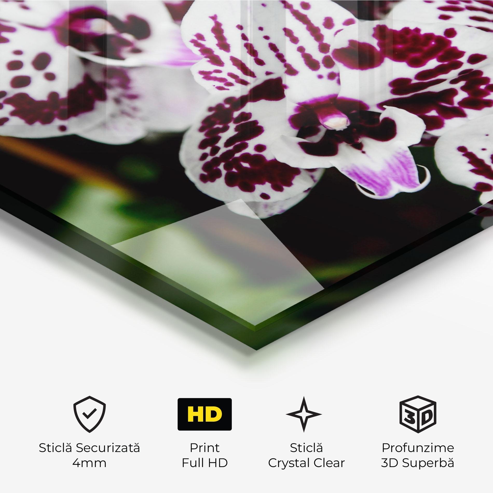 Tablou Sticla Dark Purple Orchids mockup 3