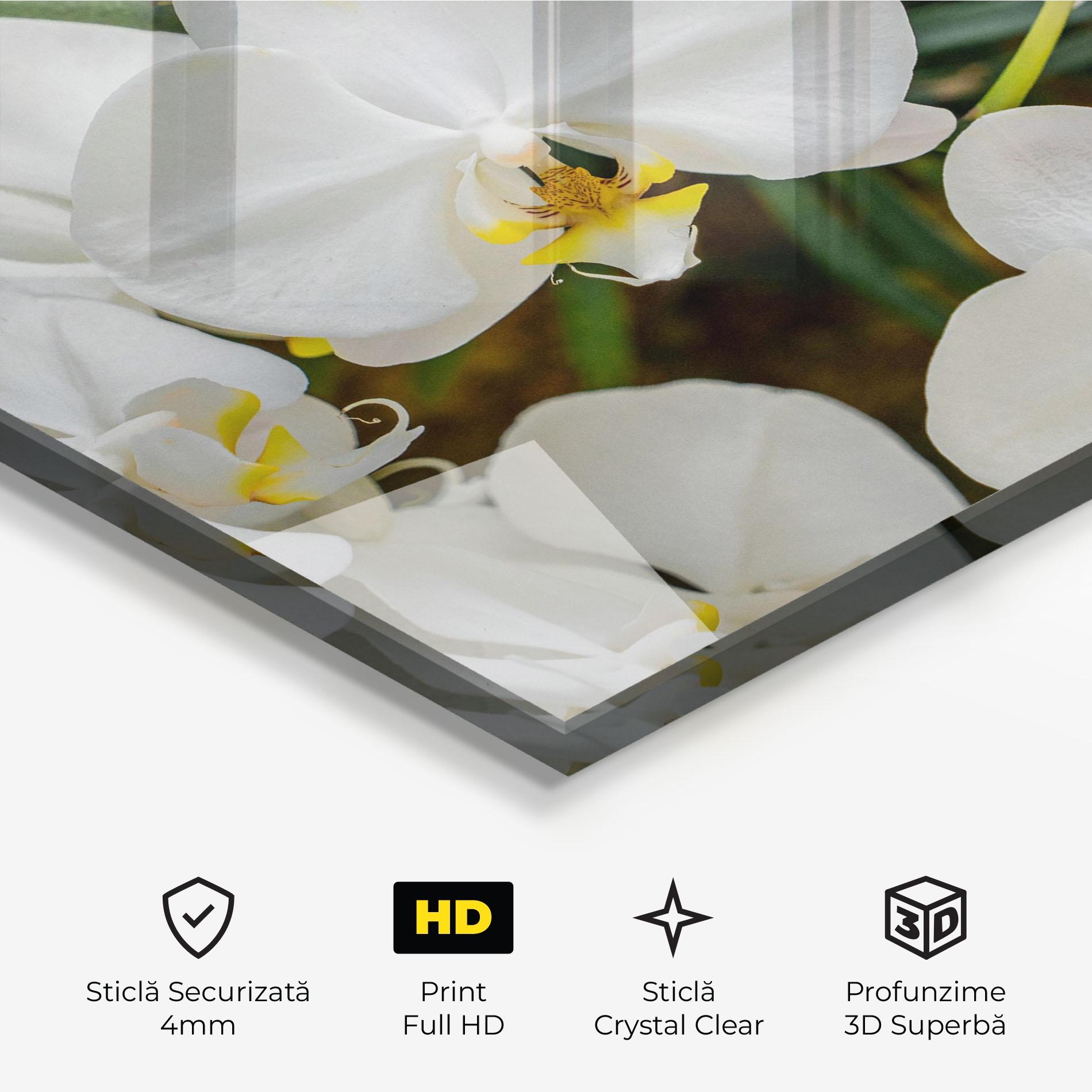 Tablou Sticla Orchids In Nature mockup 3