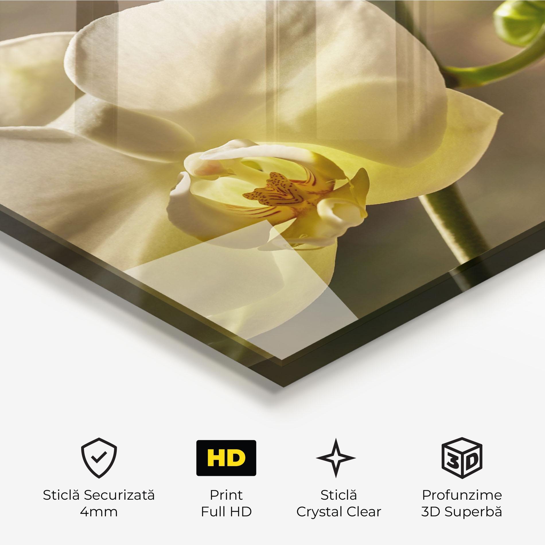 Tablou Sticla Pastel Yellow Orchid In Garden mockup 3