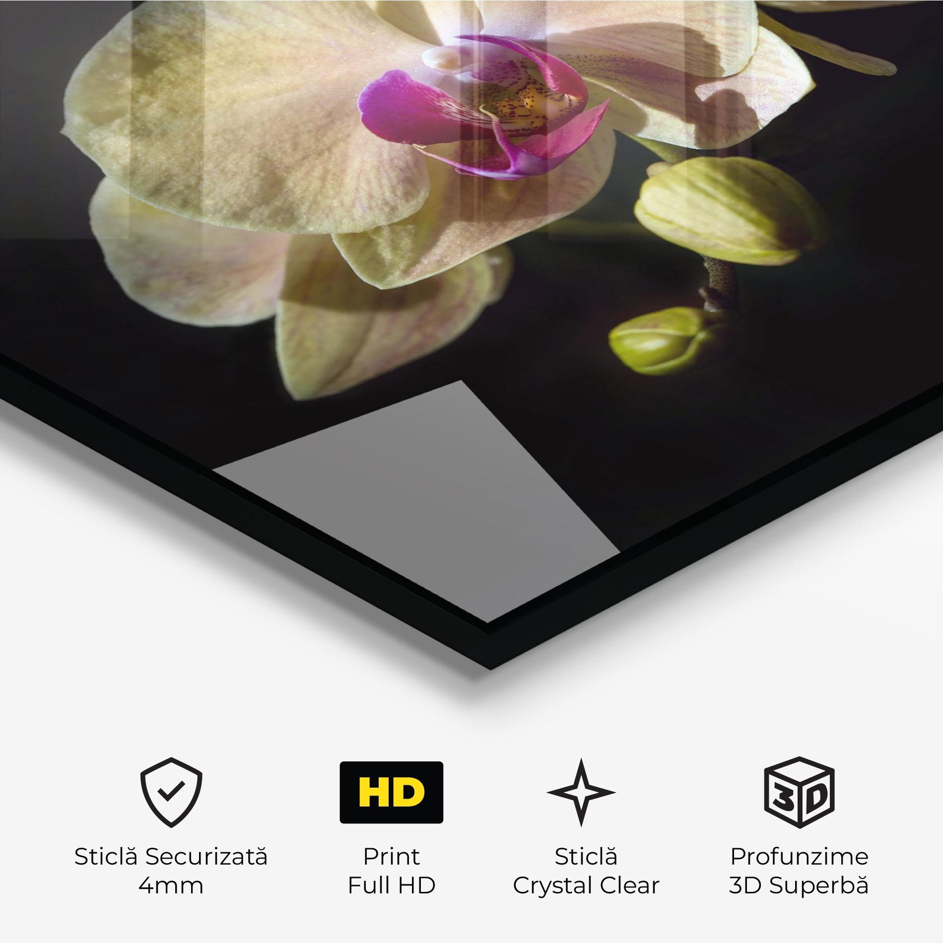 Tablou Sticla Pastel Yellow Orchids mockup 3