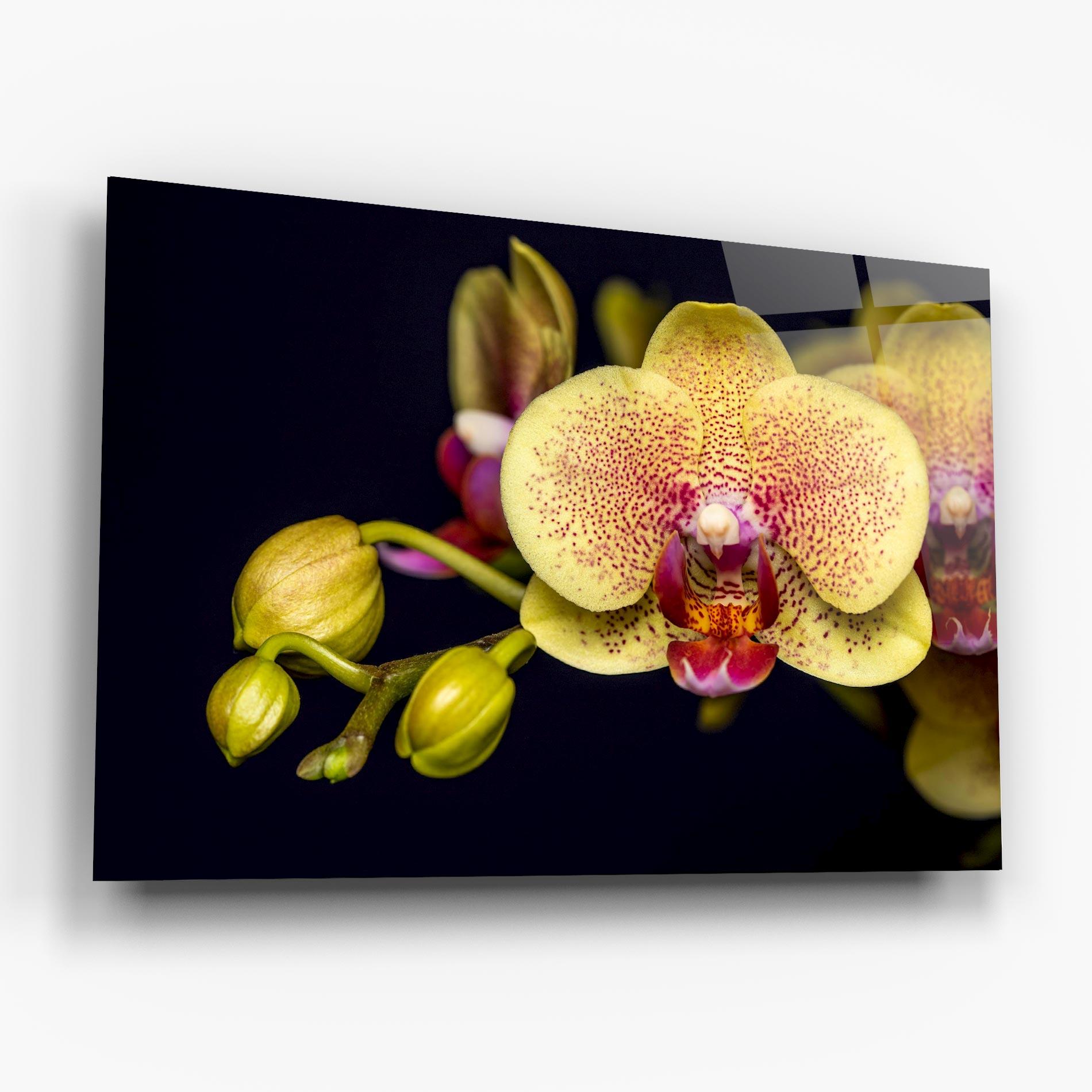 Tablou Sticla Baby Orchid mockup 6