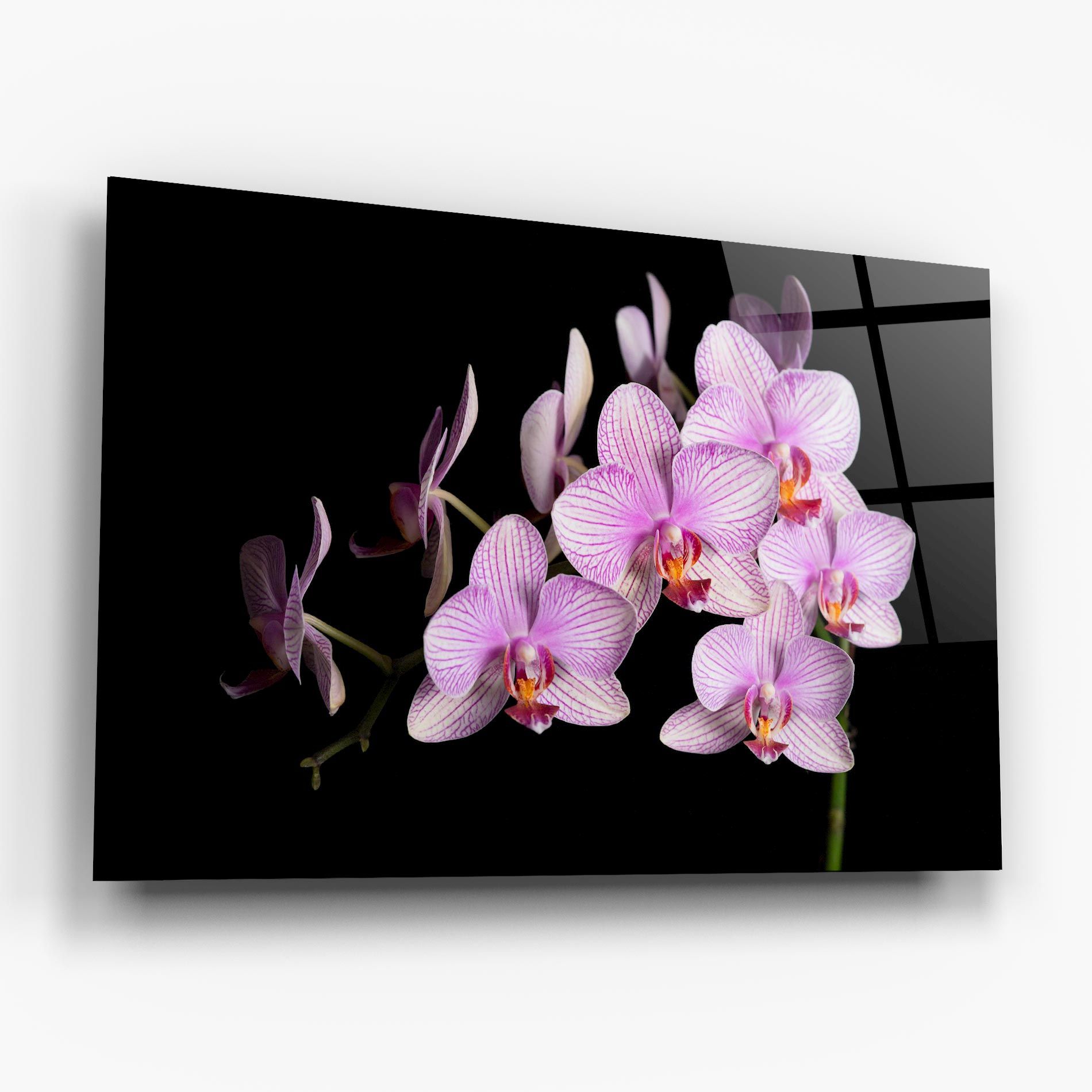 Beautiful Orchids On Black mockup 6