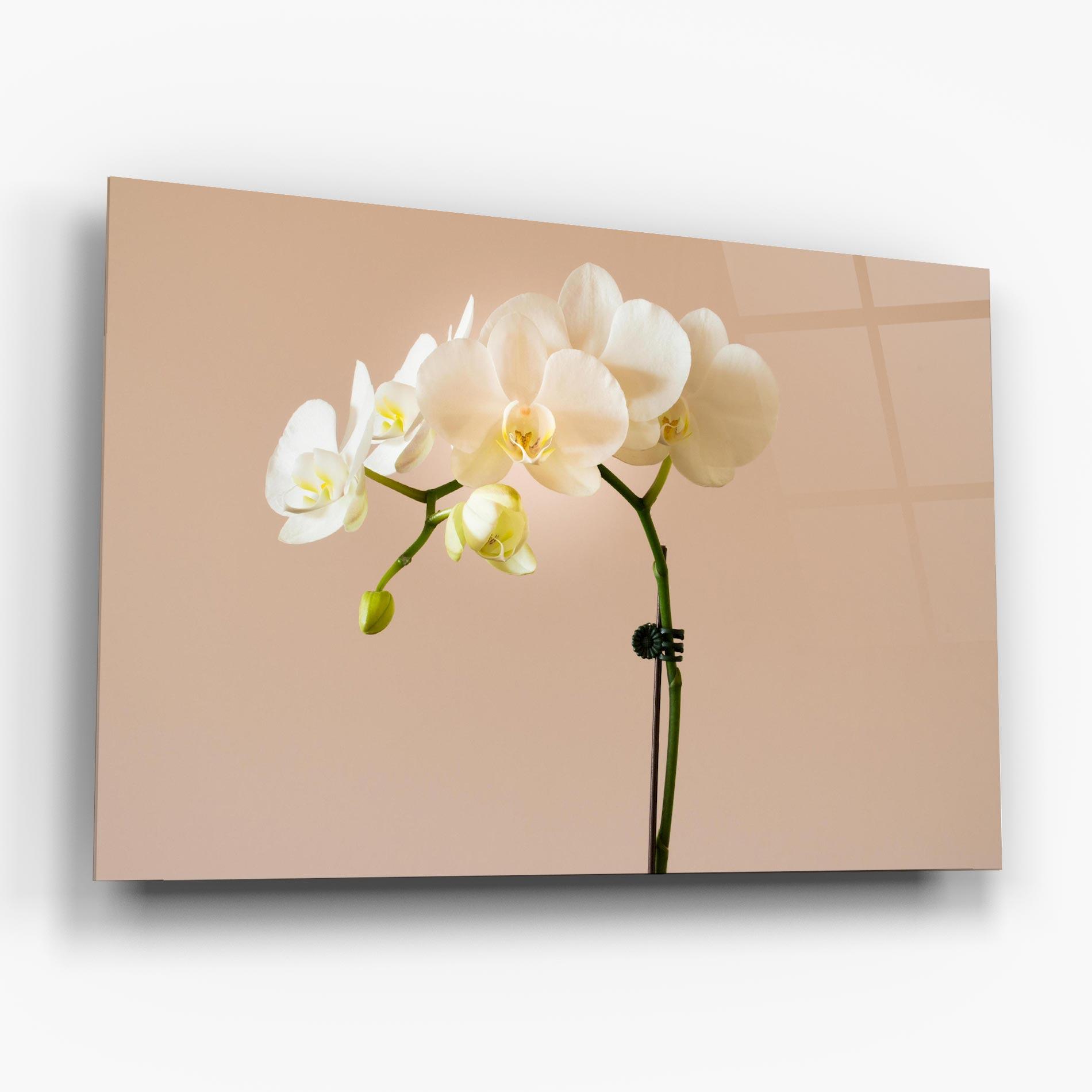 Tablou Sticla Cream Orchid On Pink mockup 6