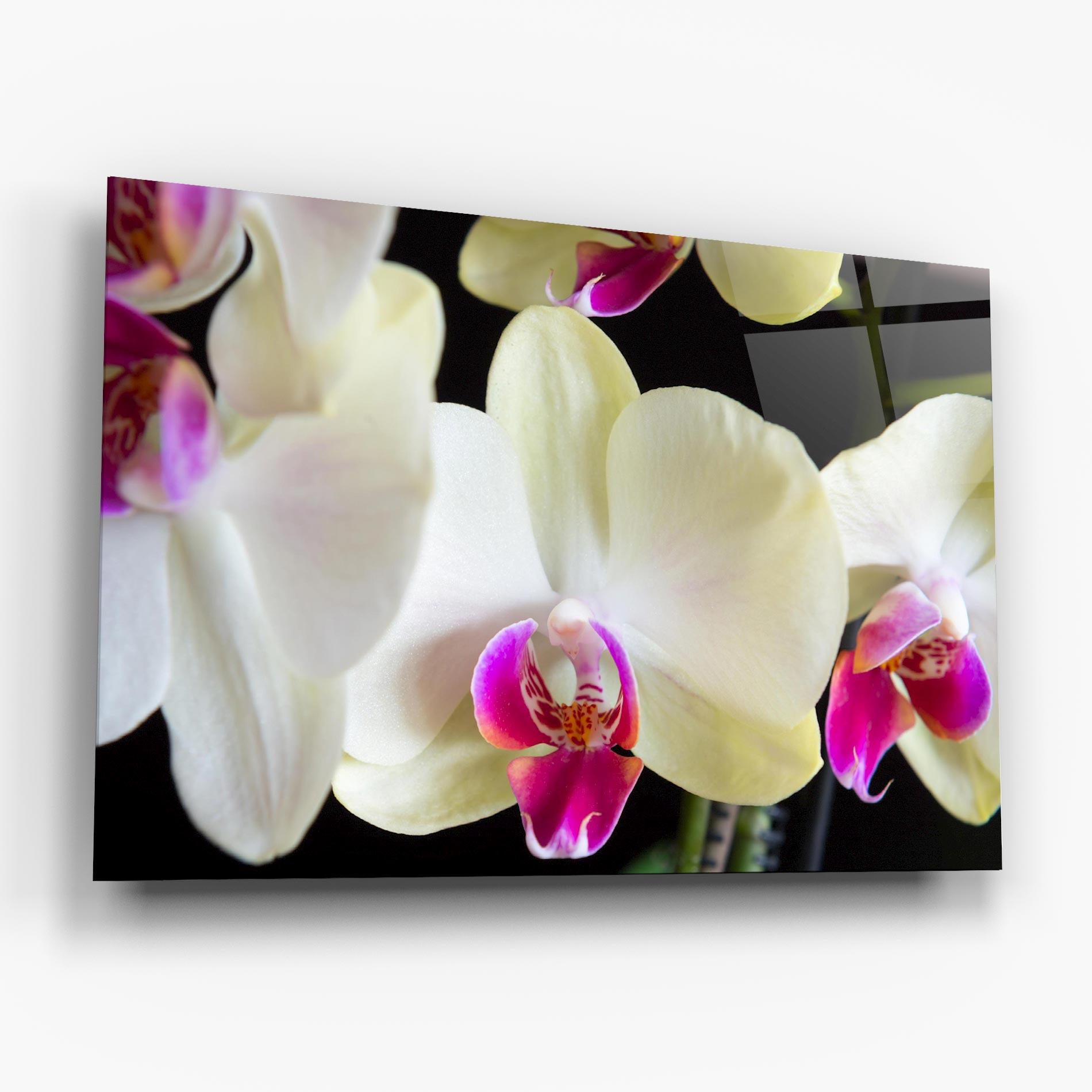 Tablou Sticla Cream Purple Orchids mockup 6