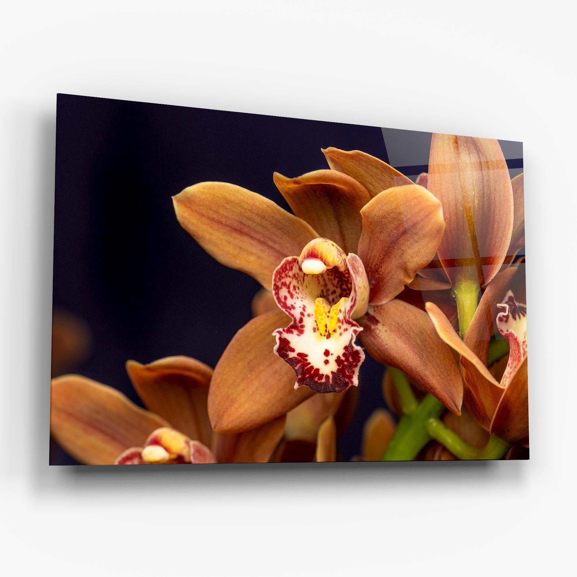 Tablou Sticla Dirty Orange Orchid mockup 6